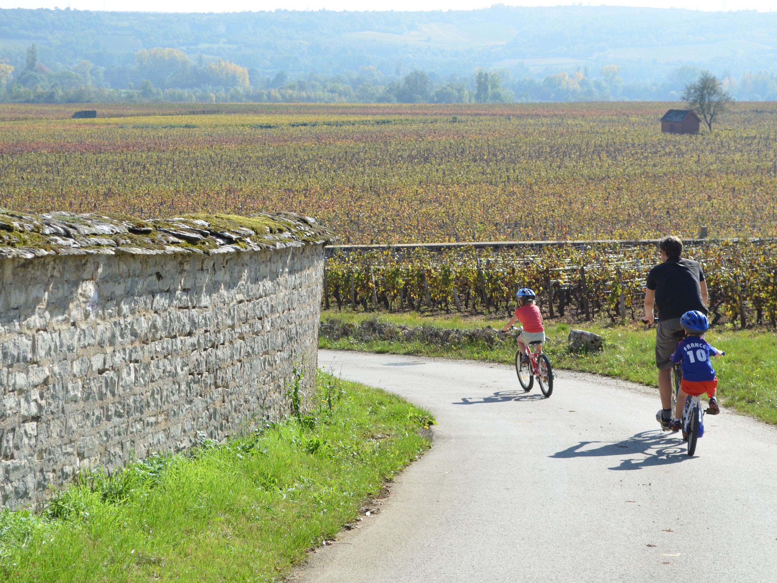 Self-guided Chablis Bike Tour in France 06