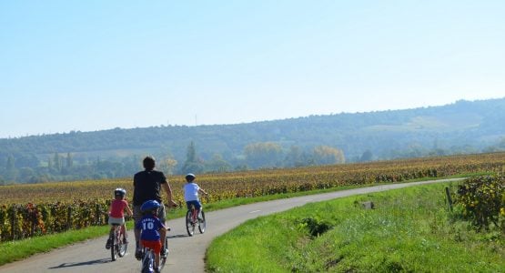 Cycling in Beaune region, Burgundy 11