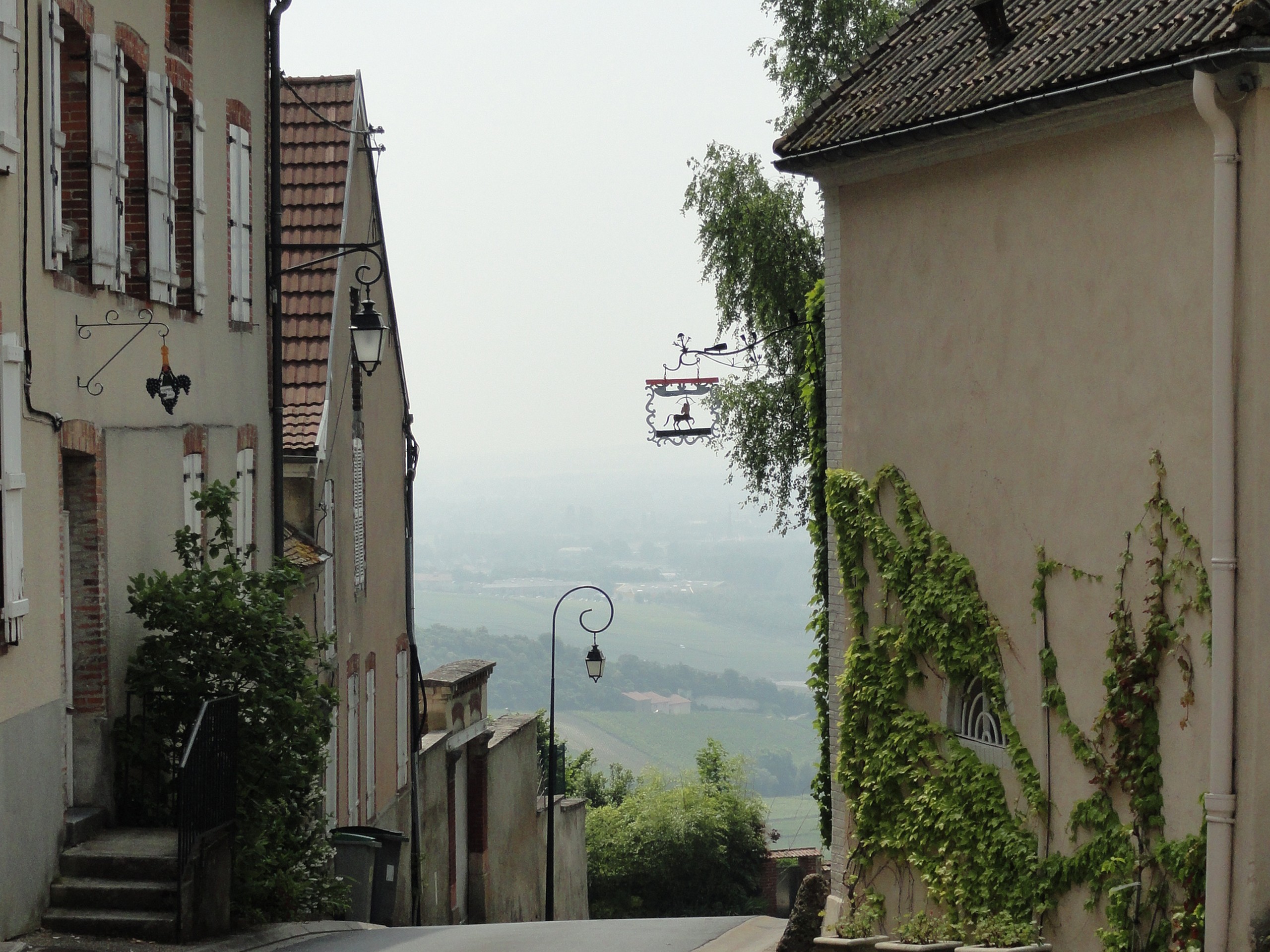 Self-guided Champagne Region biking tour in France 36