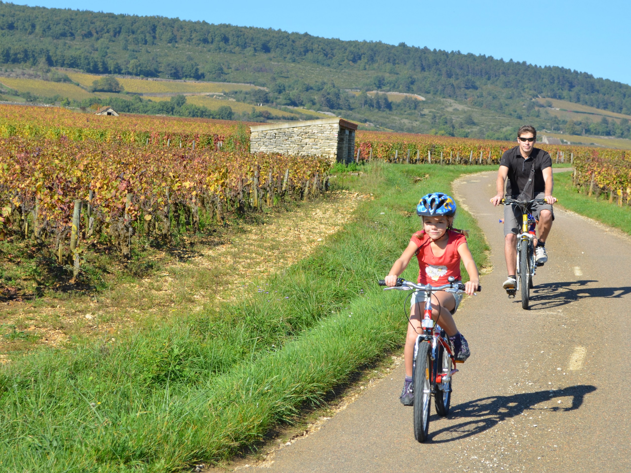 Self-guided Chablis Bike Tour in France 09