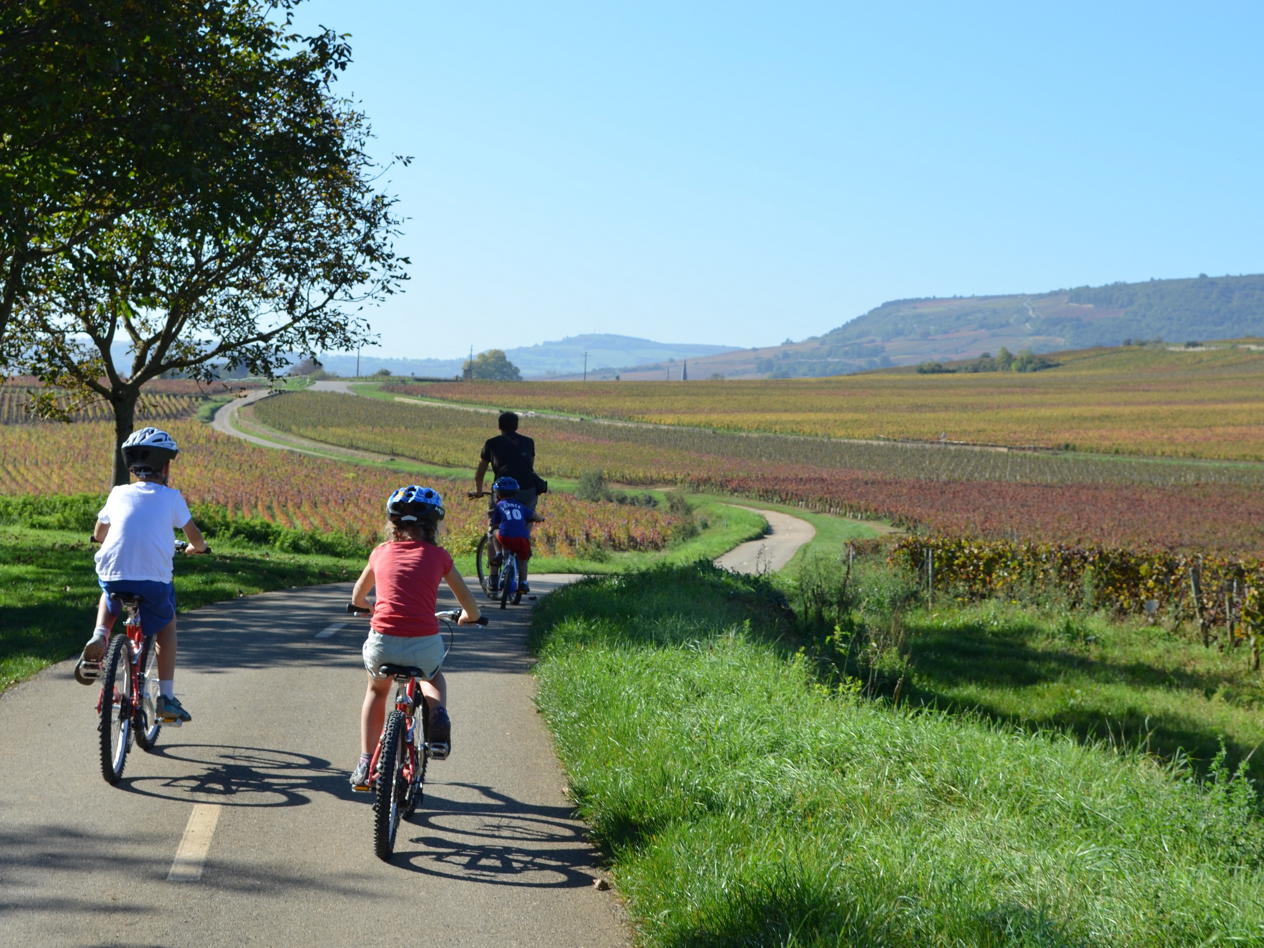 Cycling in Beaune region, Burgundy 21