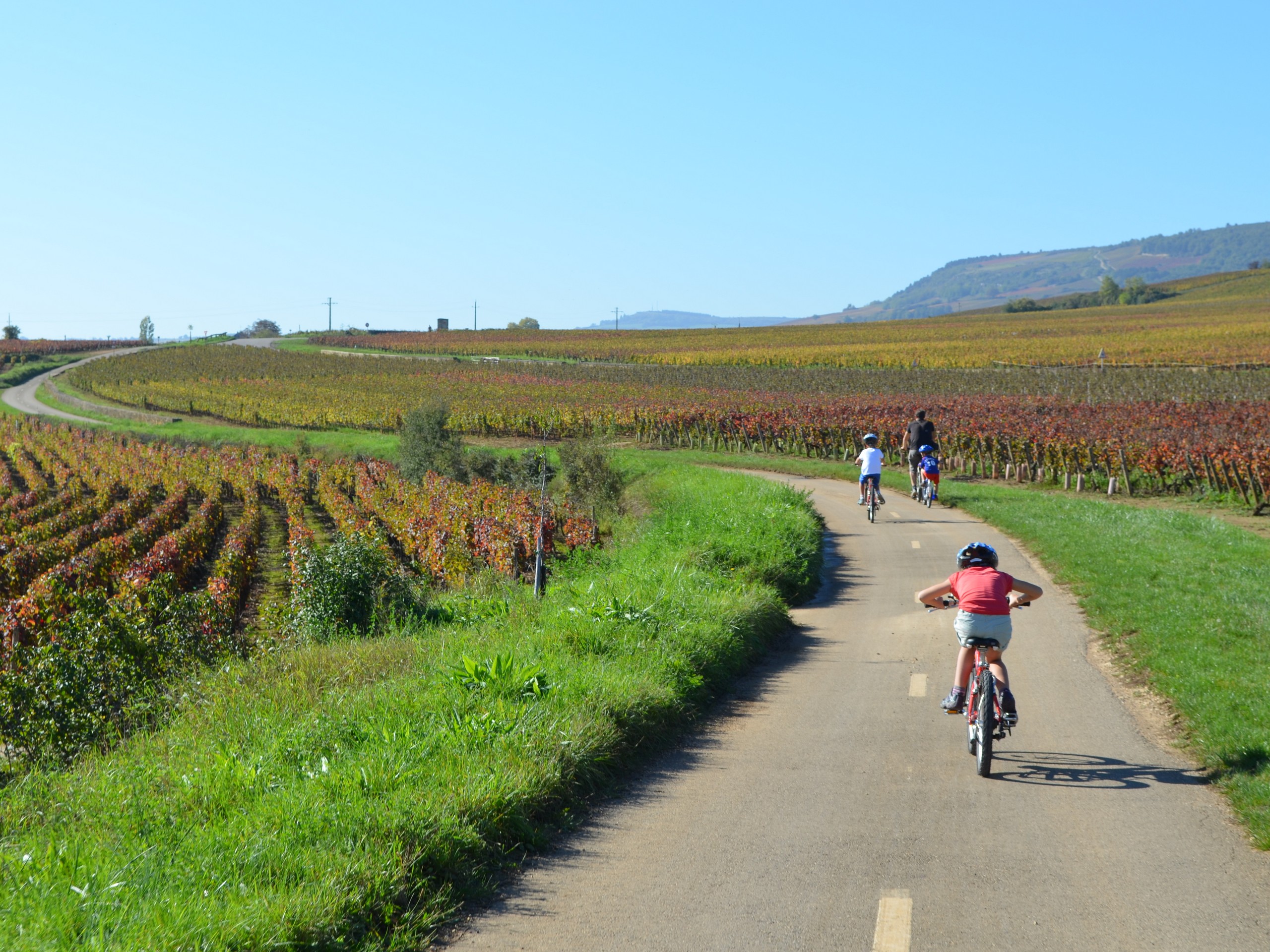 Cycling in Beaune region, Burgundy 22