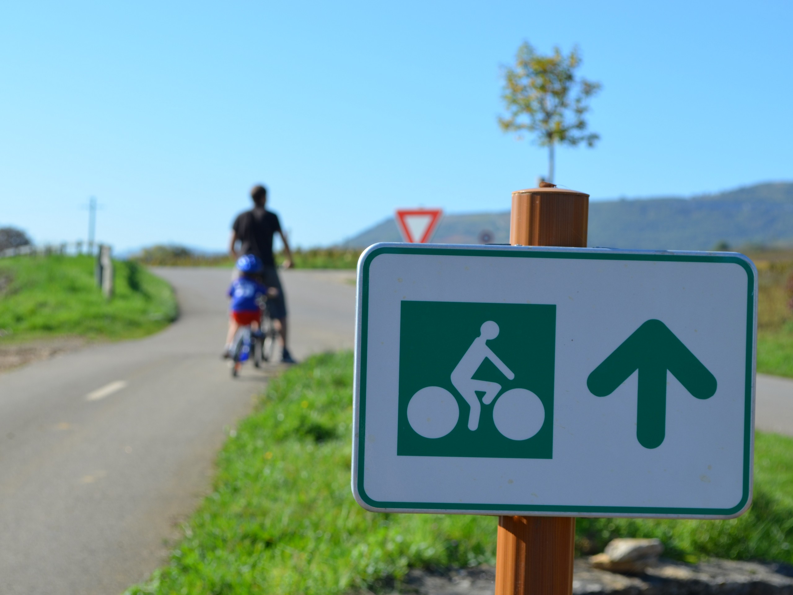 Self-guided Chablis Bike Tour in France 12