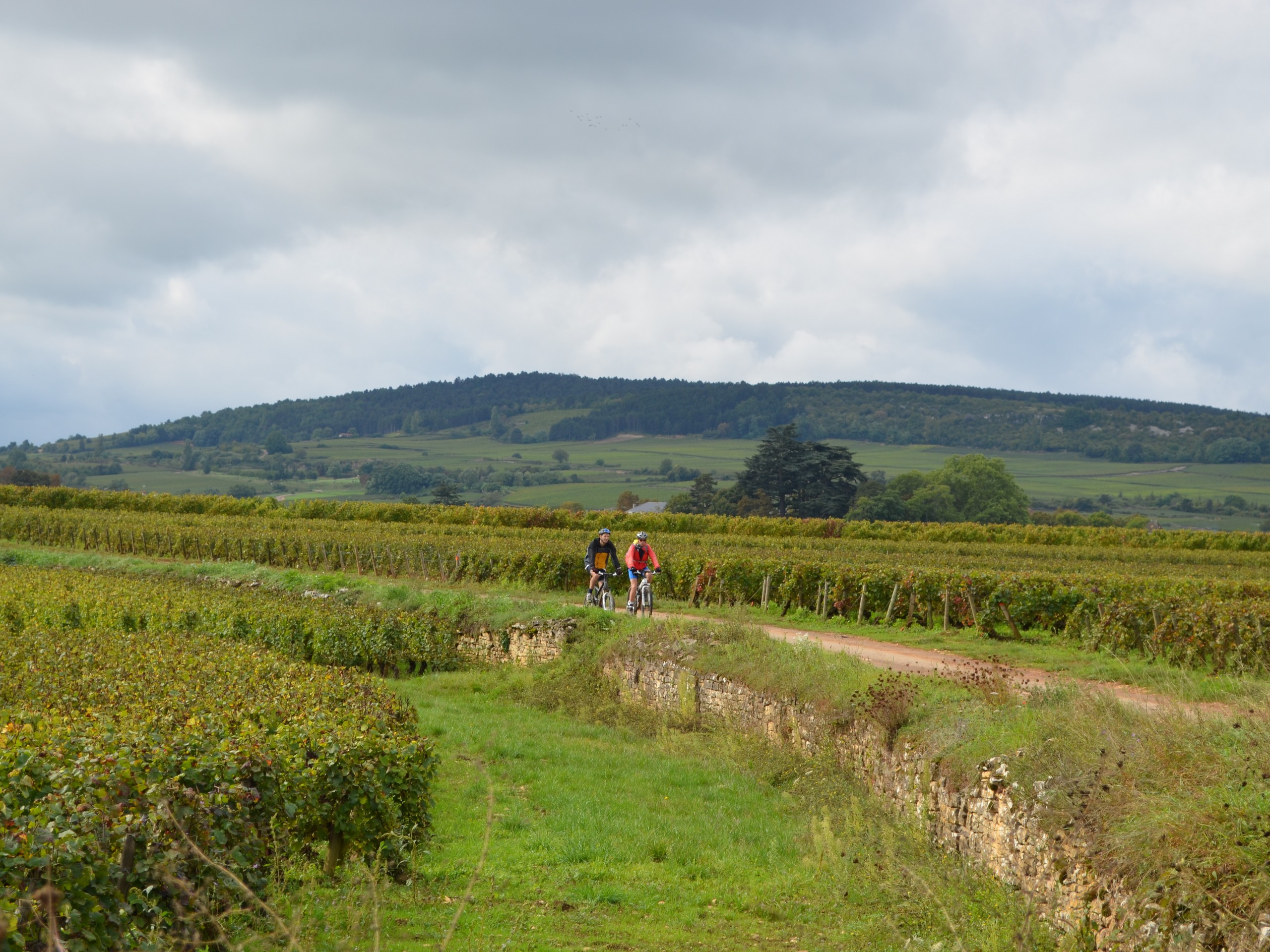 Cycling in Beaune region, Burgundy 23