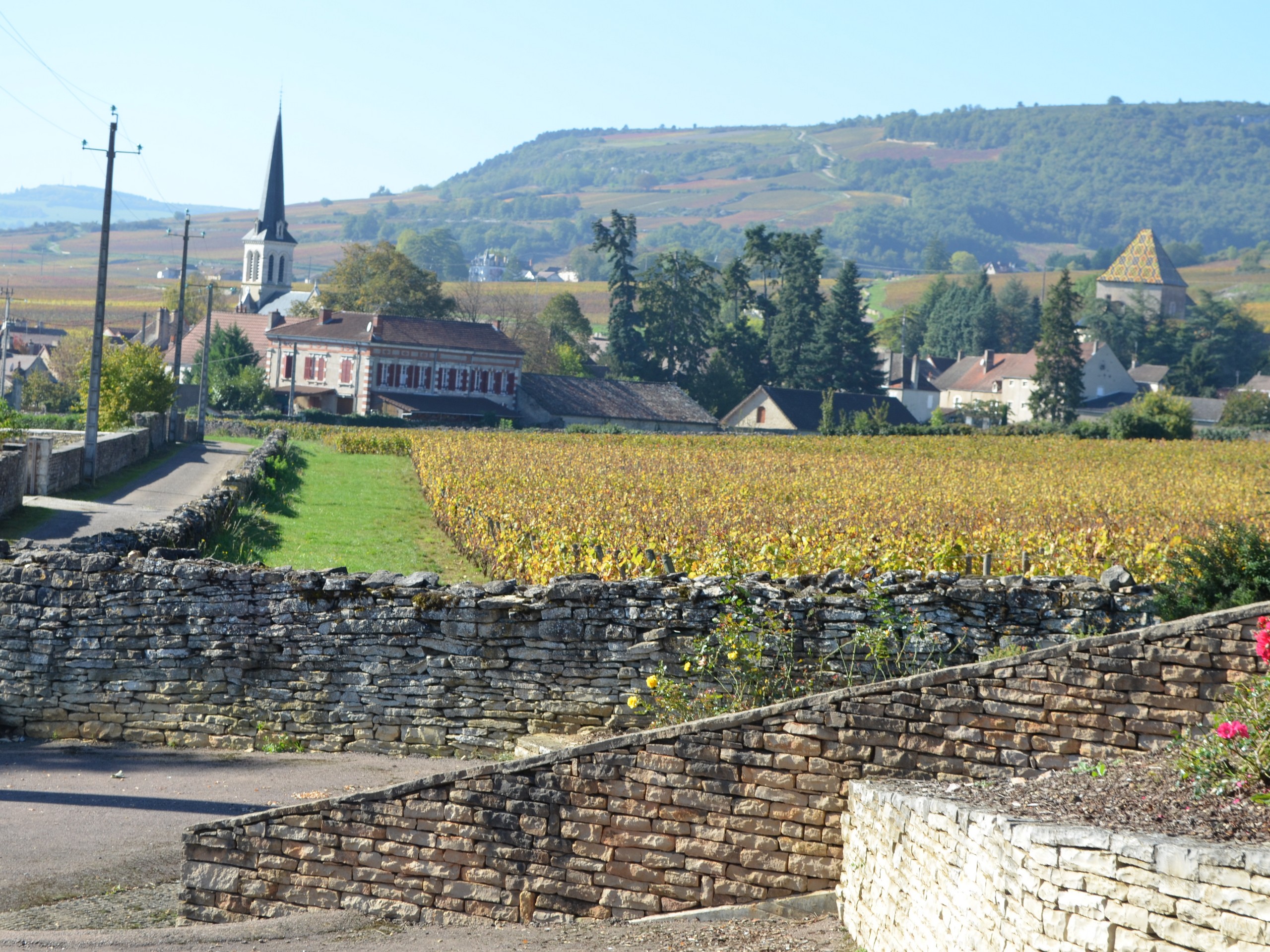 Cycling in Beaune region, Burgundy 25