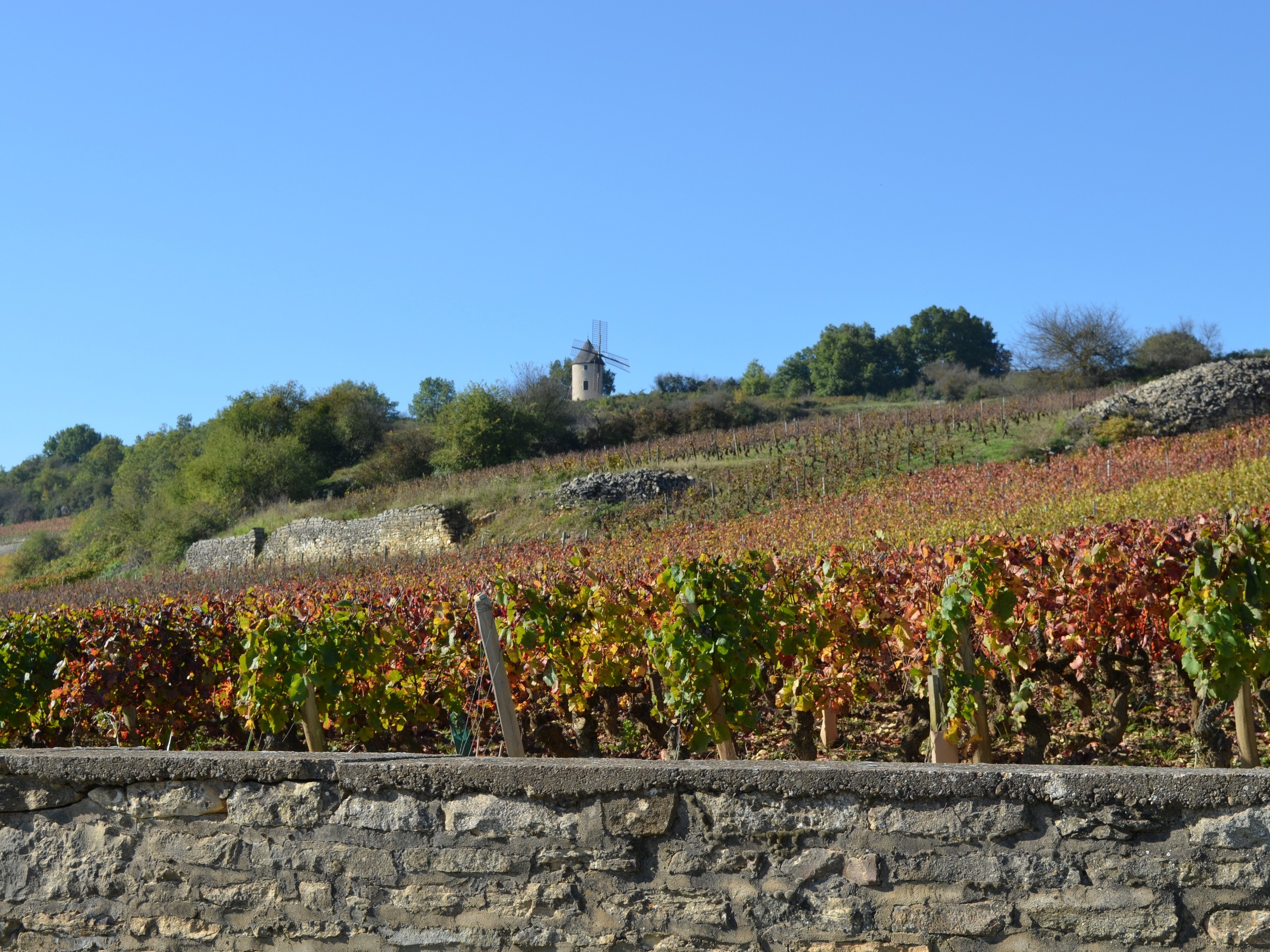 Cycling in Beaune region, Burgundy 27