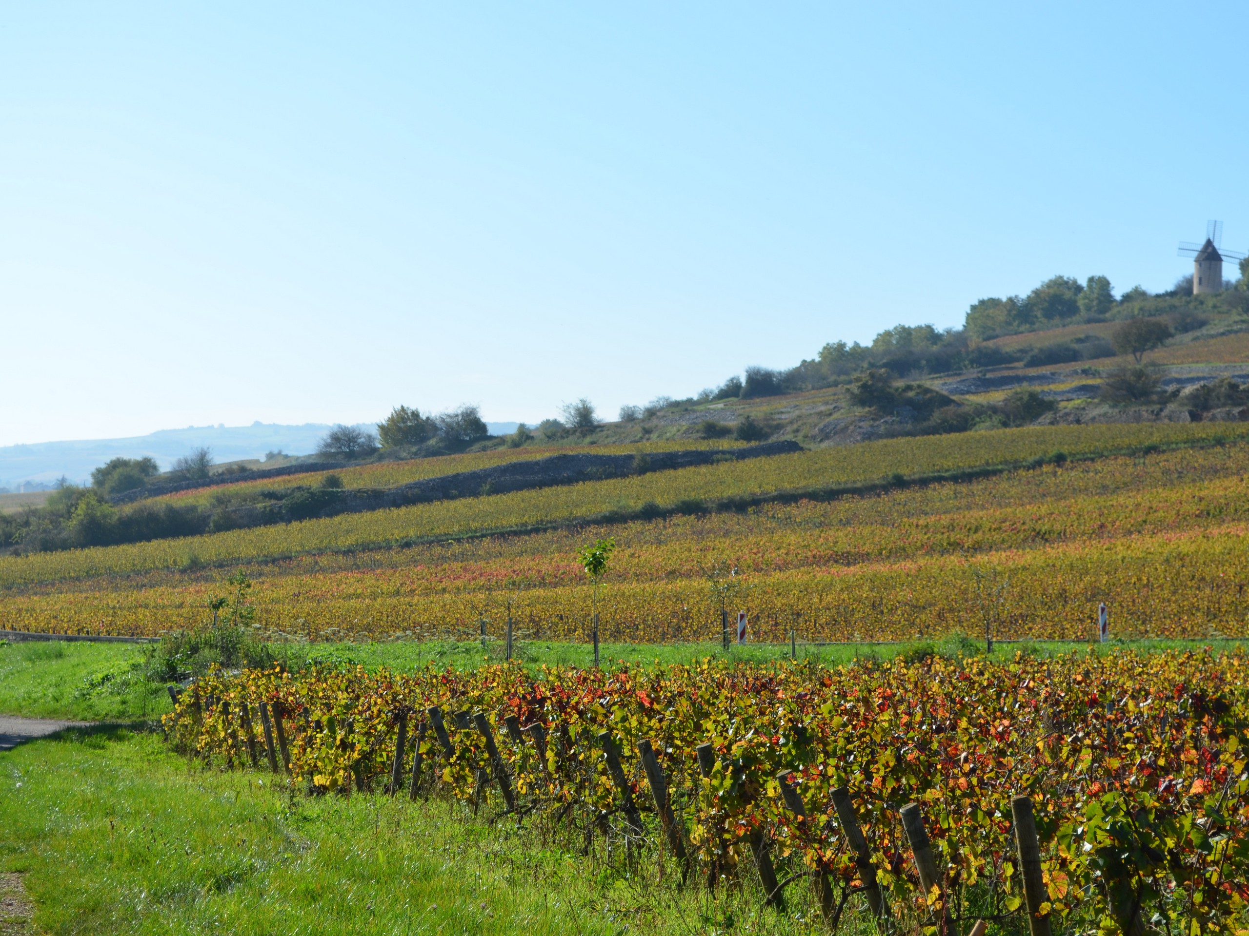 Cycling in Beaune region, Burgundy 31