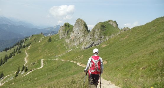 Bavarian Alps and Lakes Self-guided Hiking Tour Bayerische Alpen_Rotwand_Wanderer_1