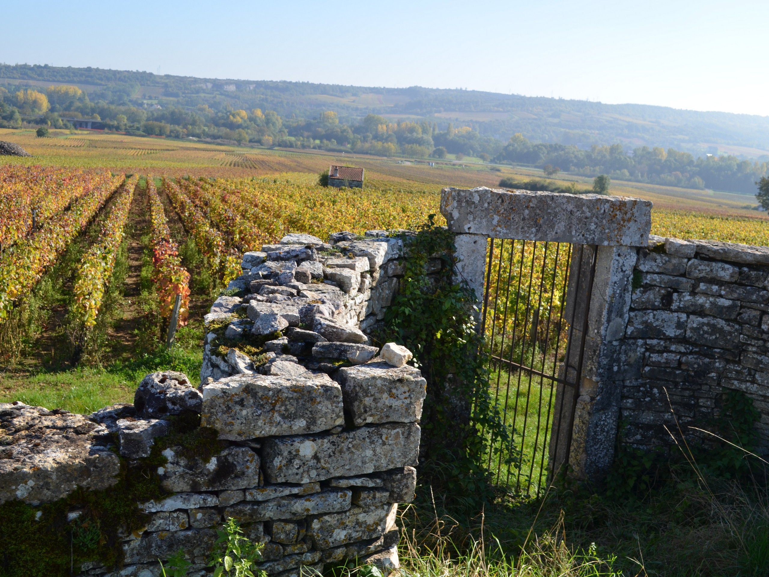 Cycling in Beaune region, Burgundy 35