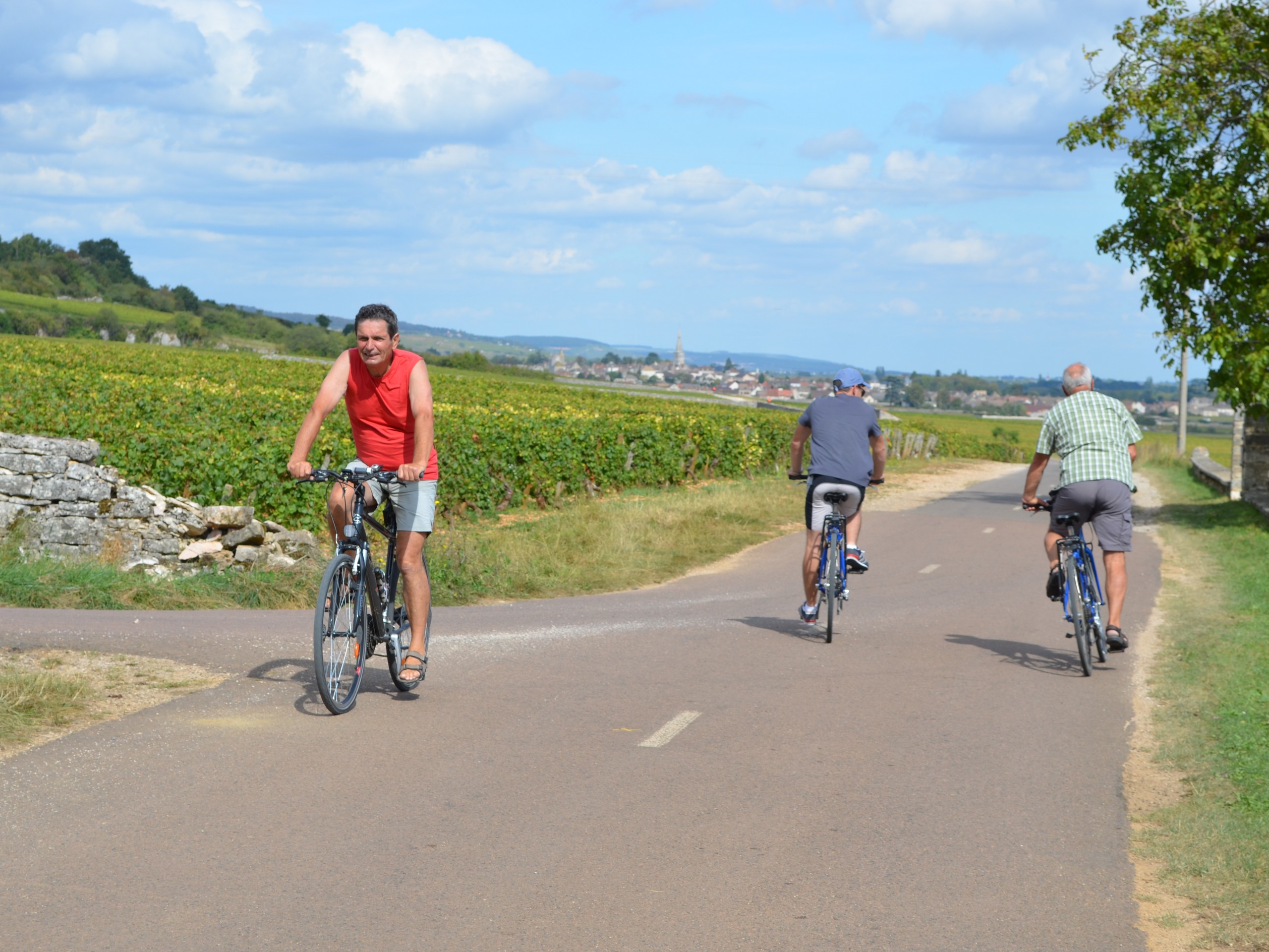 Cycling in Beaune region, Burgundy 37