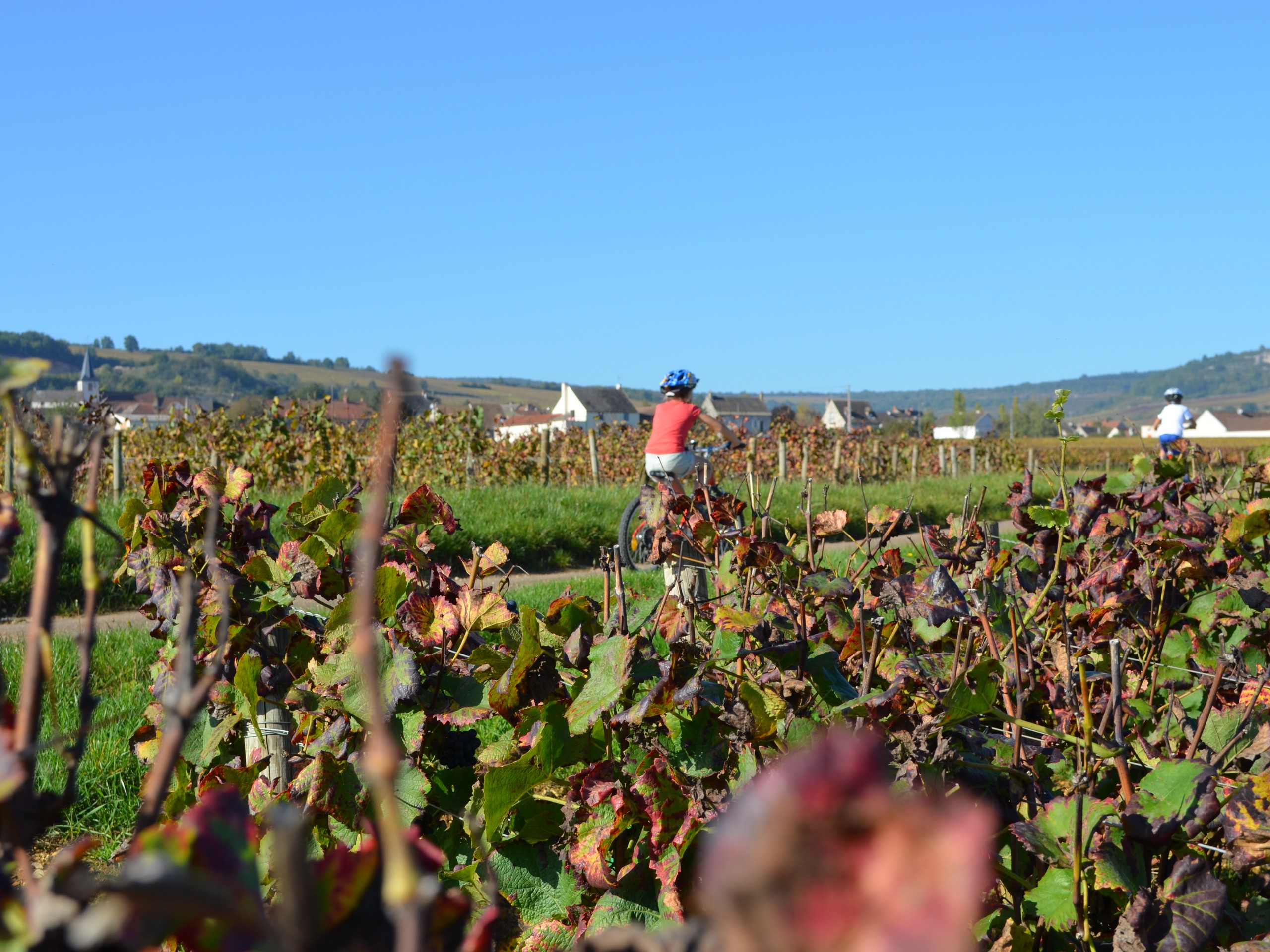 Cycling in Beaune region, Burgundy 41