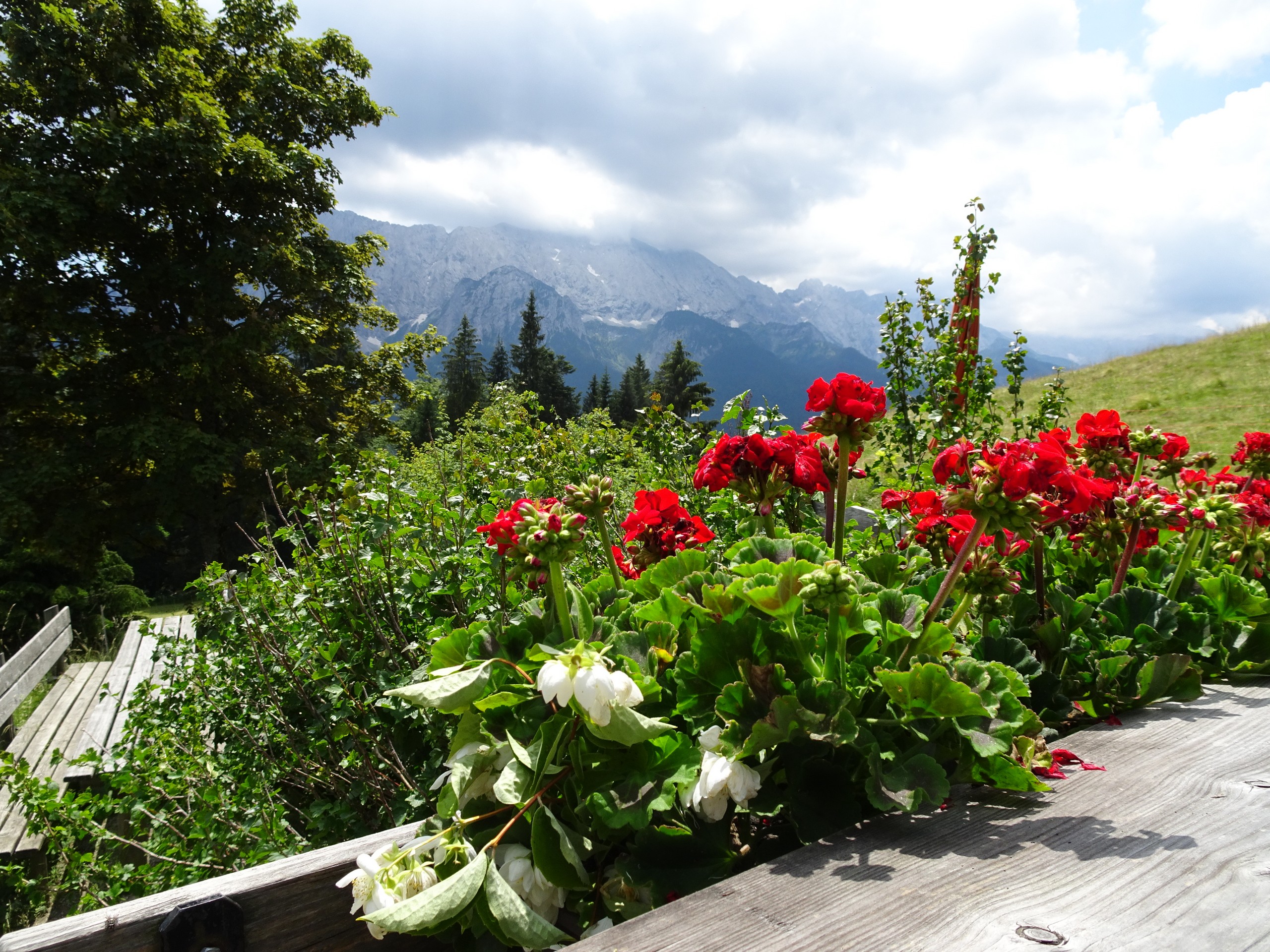 Alpine Crossing from Garmisch to Meran -1