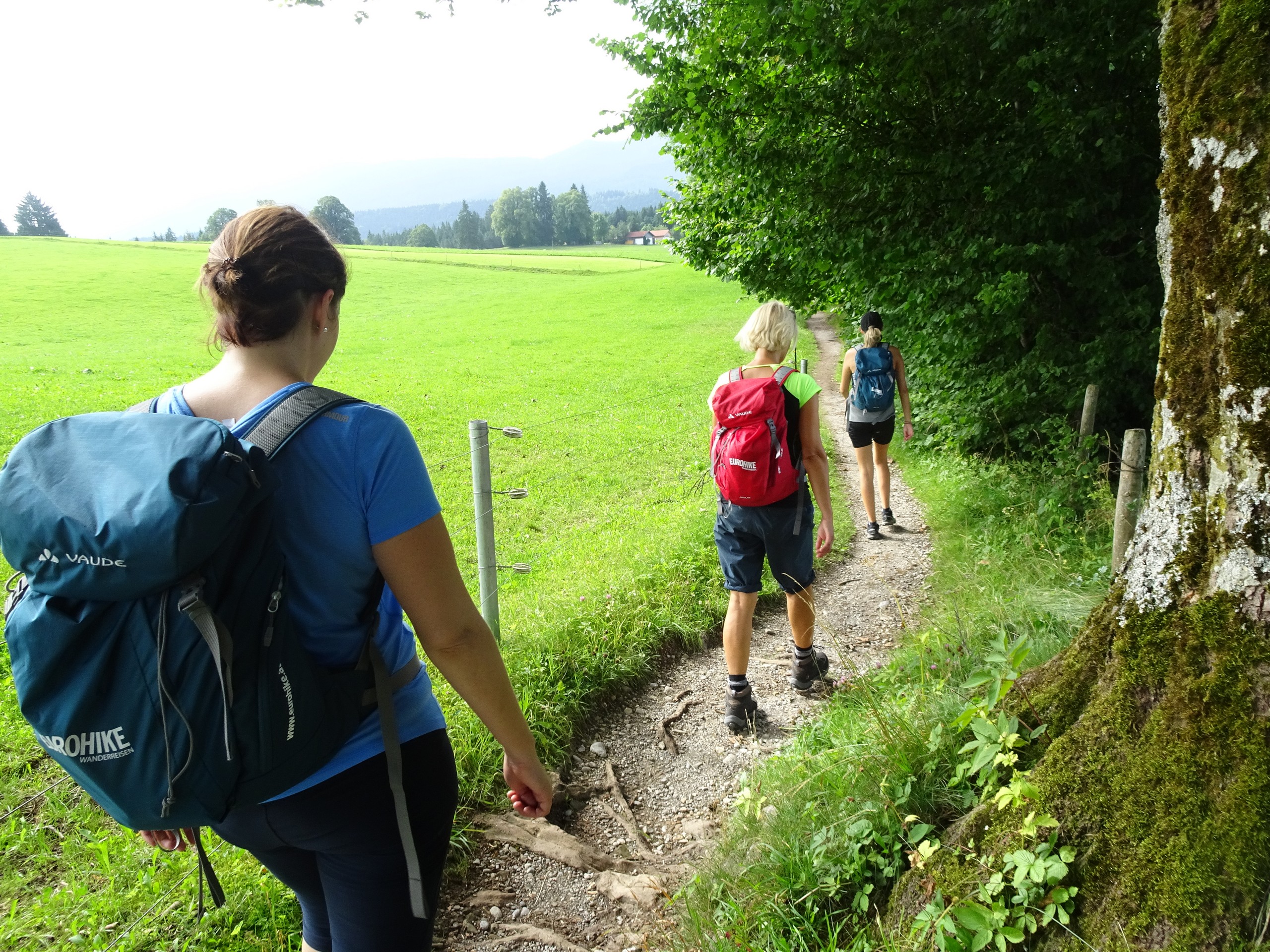 Alpine Crossing from Munich to Garmisch -16