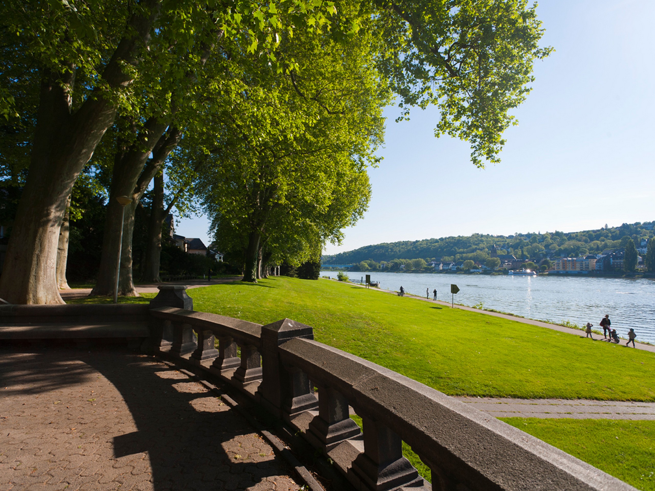 Rhine Walking Rüdesheim – Koblenz-10