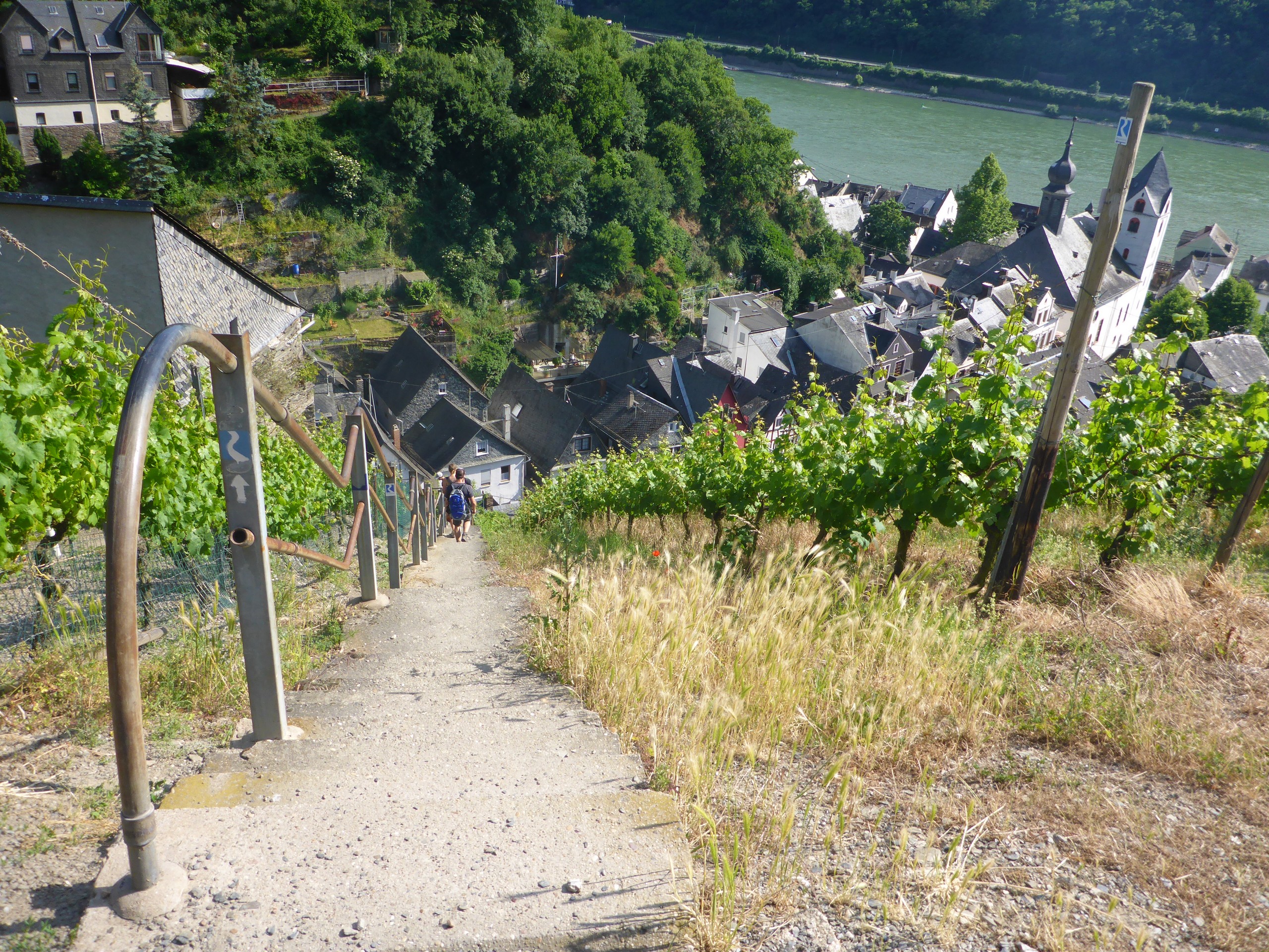 Rhine Walking Rüdesheim – Koblenz-27