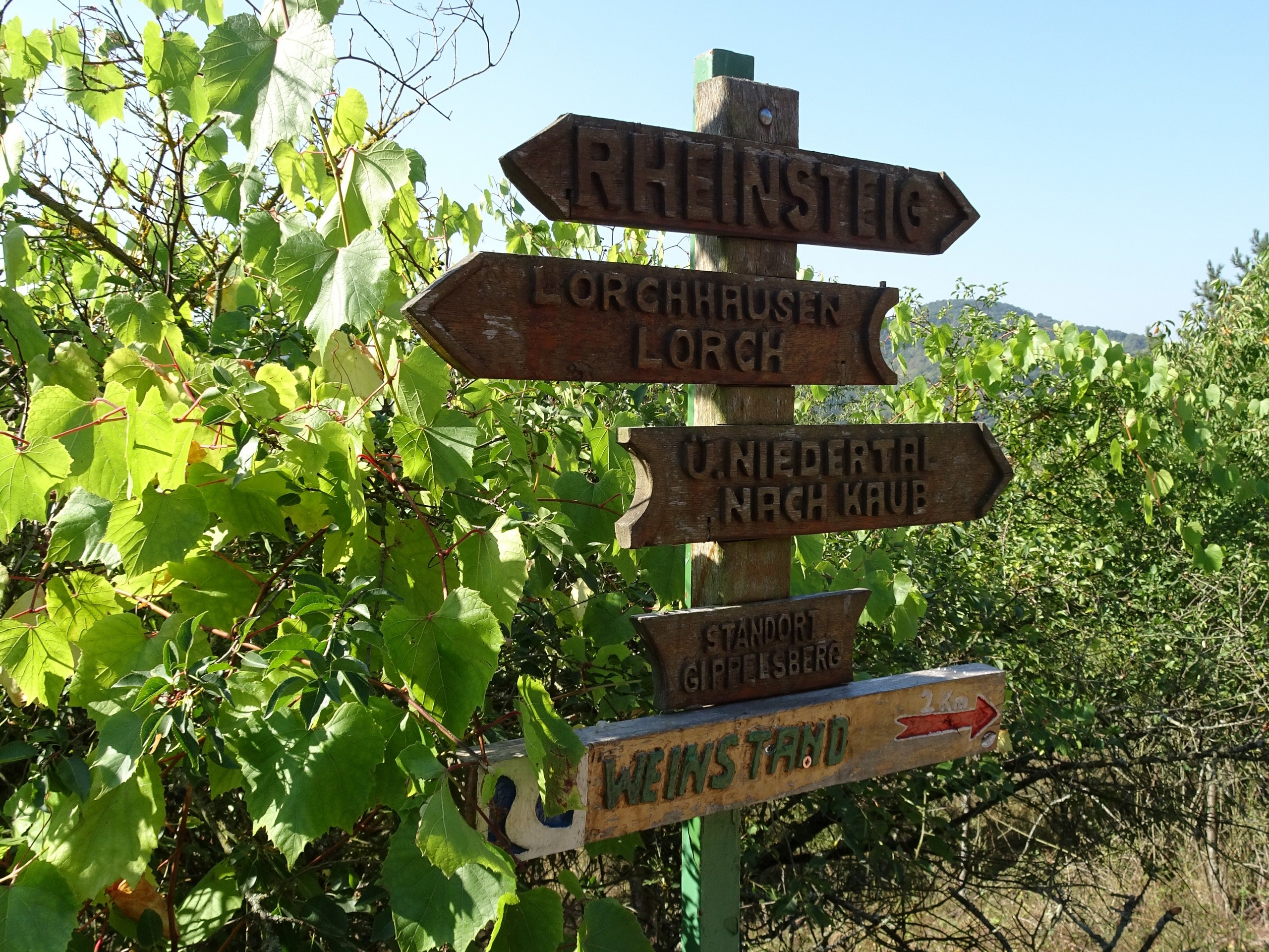 Rhine Walking Rüdesheim – Koblenz-38