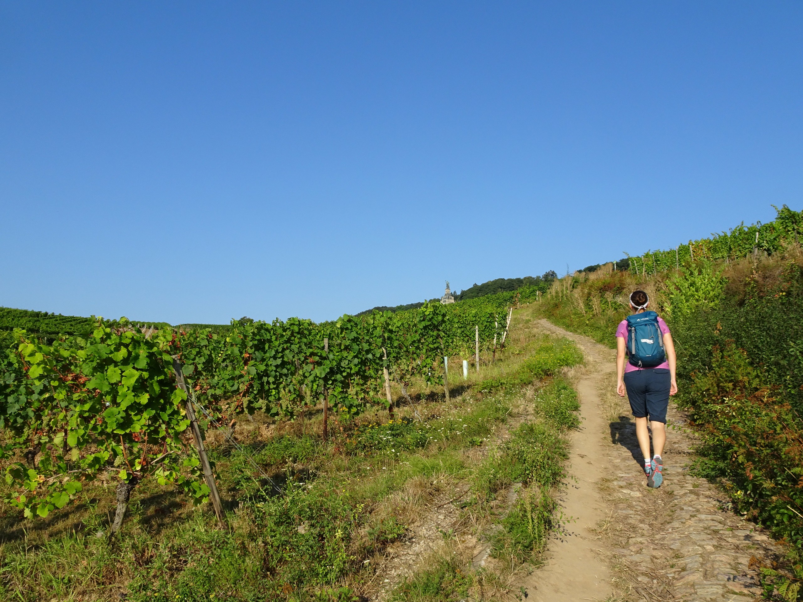 Rhine Walking Rüdesheim – Koblenz-40