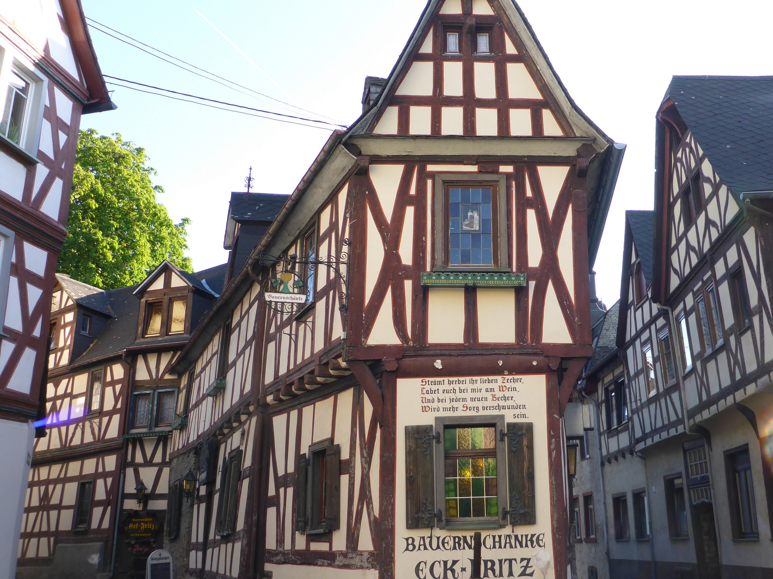 Rhine Walking Rüdesheim – Koblenz-5