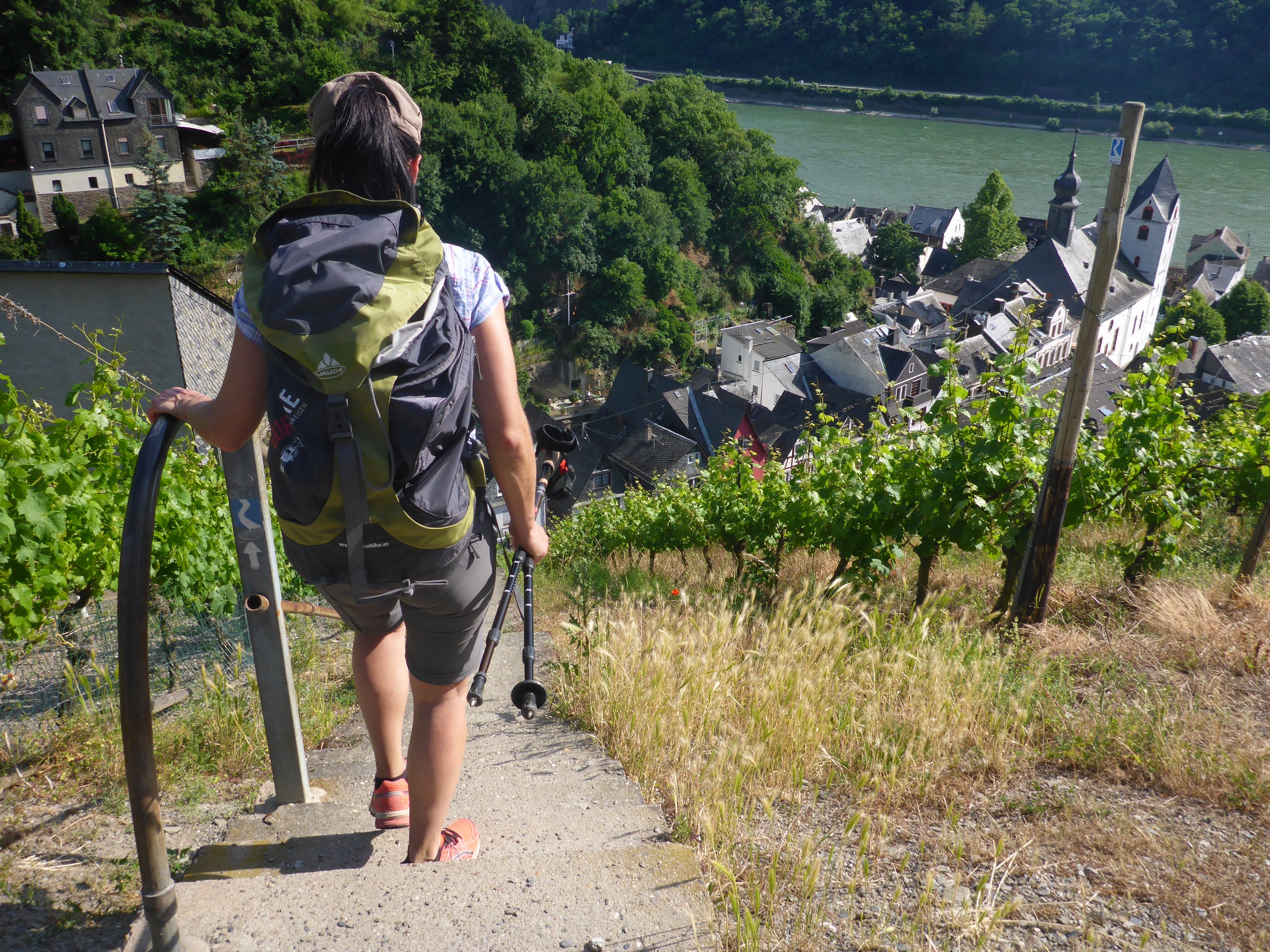 Rhine Walking Rüdesheim – Koblenz-7