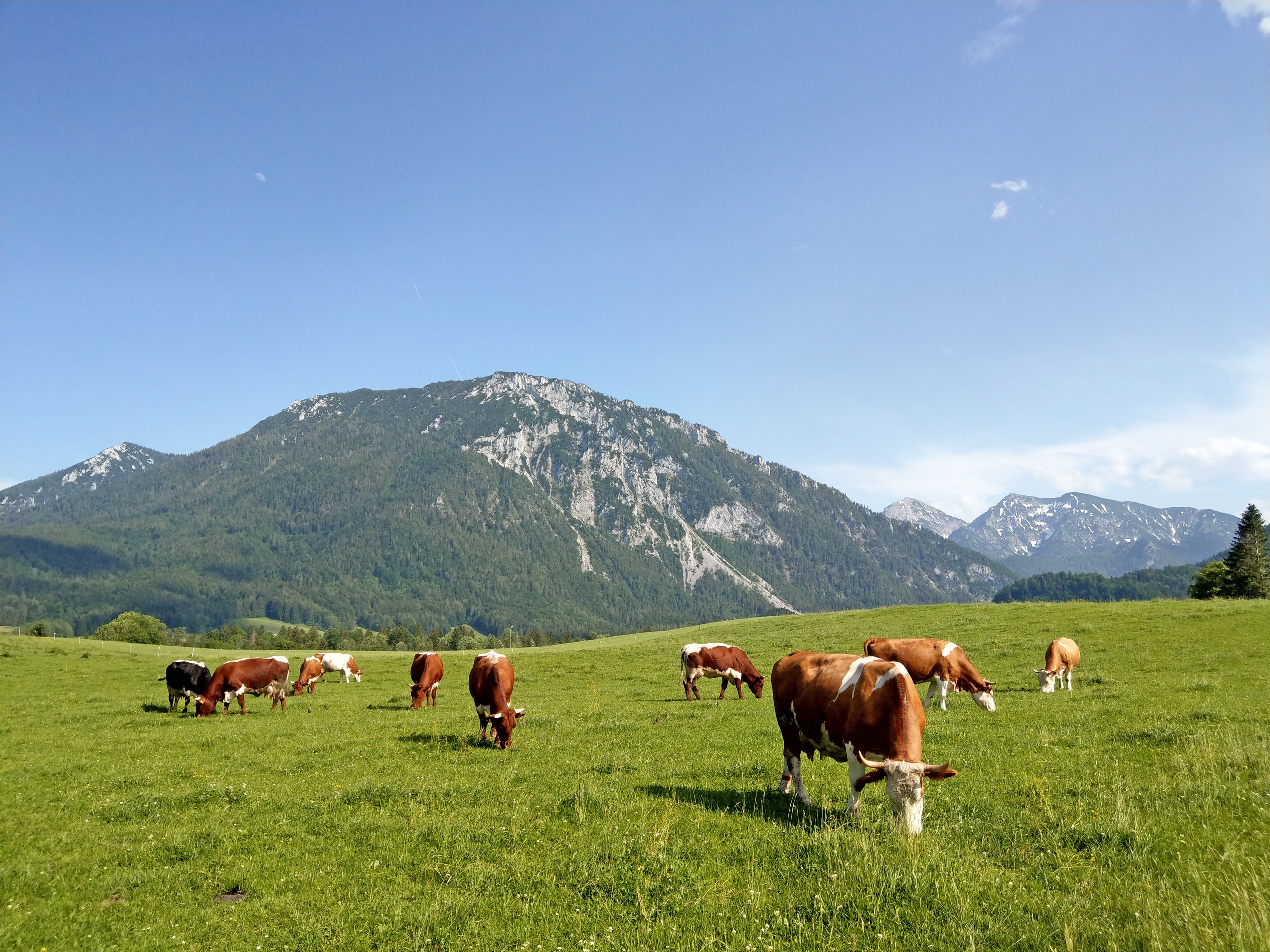 Salzalpensteig Hiking trail in Germany-12