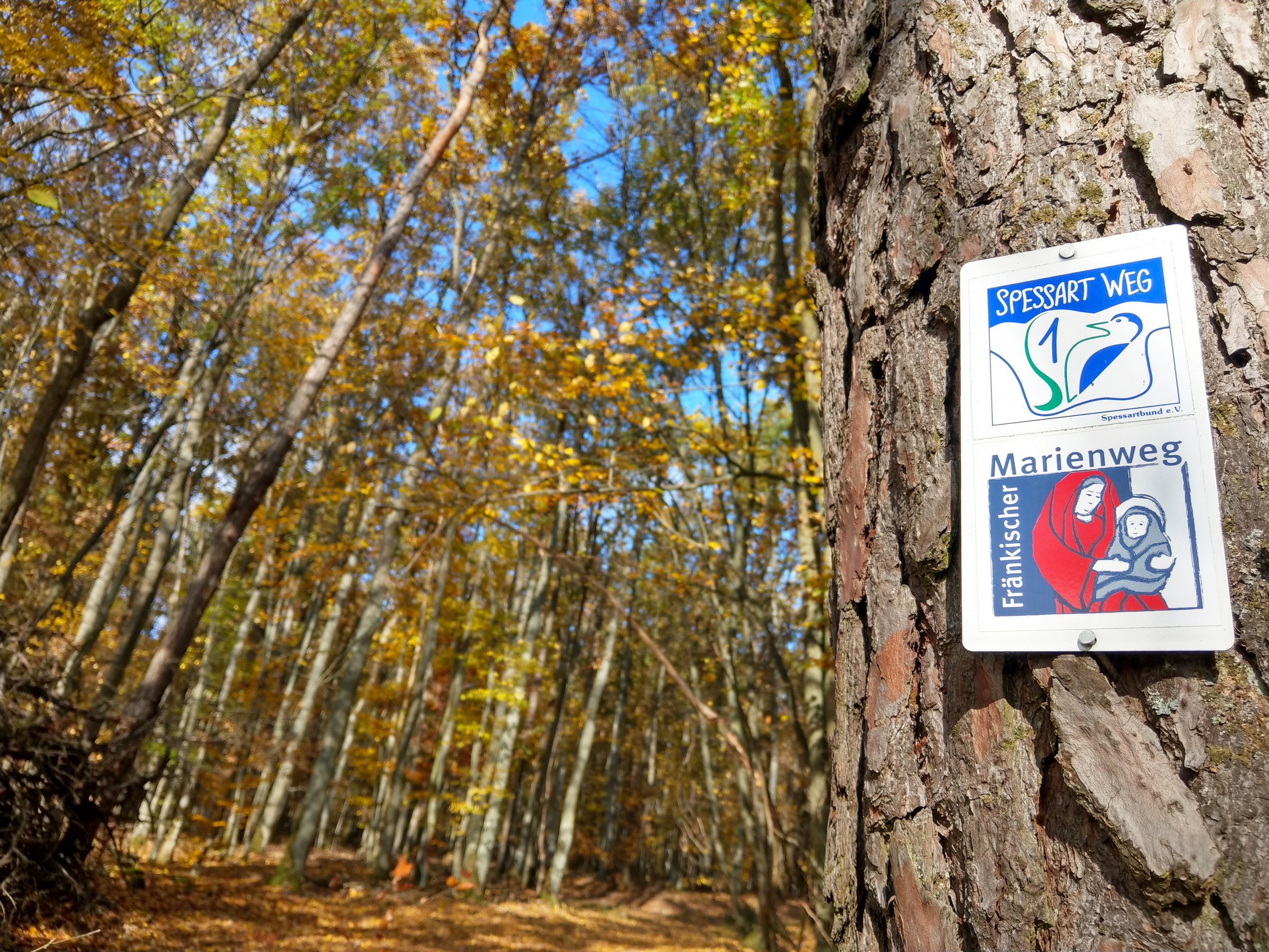 Walking the Magical Spessart region in Germany-8