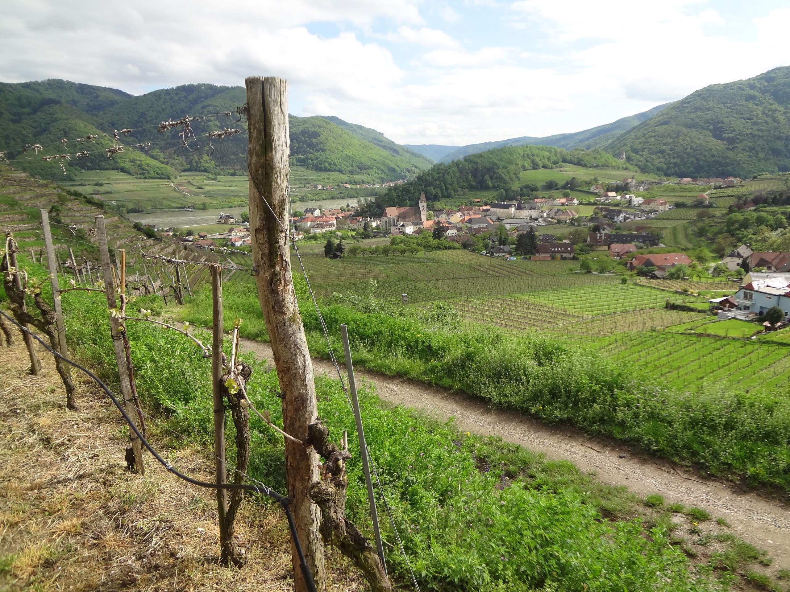 World Heritage Trail Wachau Walking Tour -16