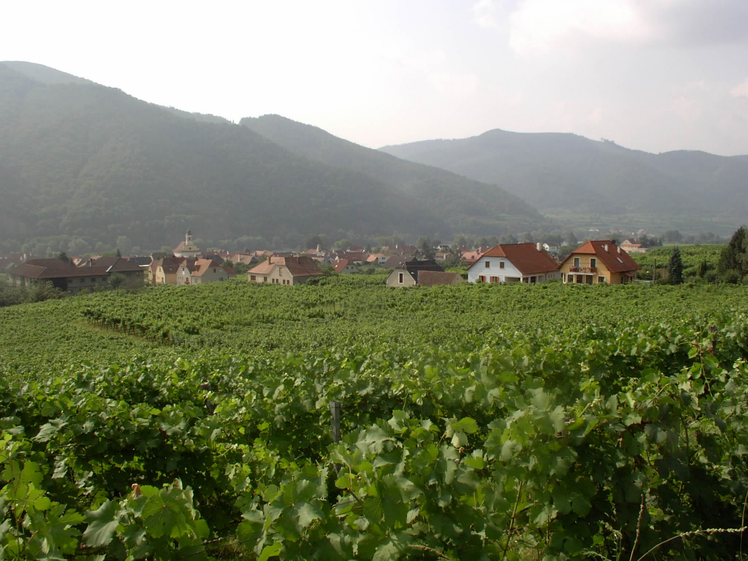 World Heritage Trail Wachau Walking Tour -21