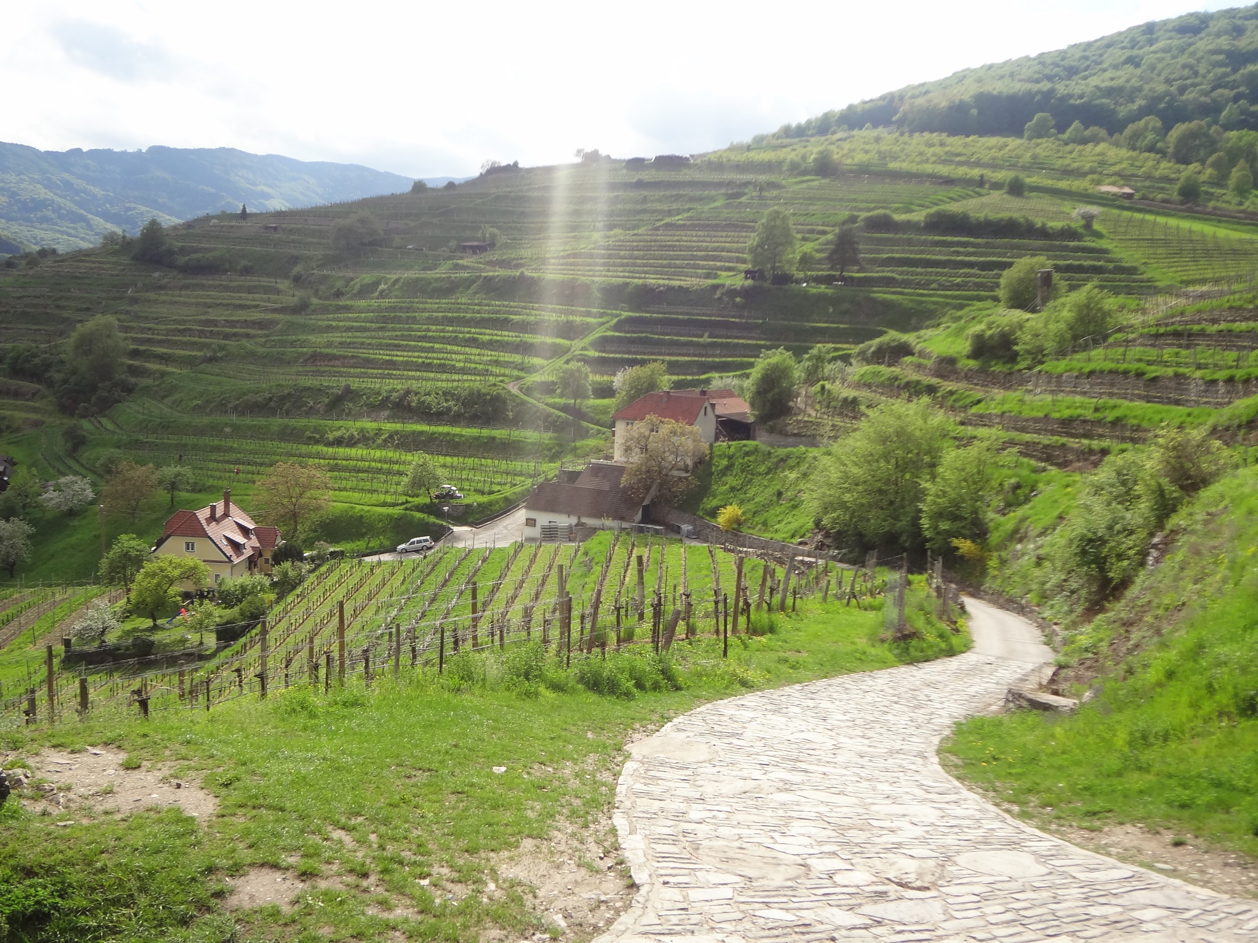 World Heritage Trail Wachau Walking Tour -22