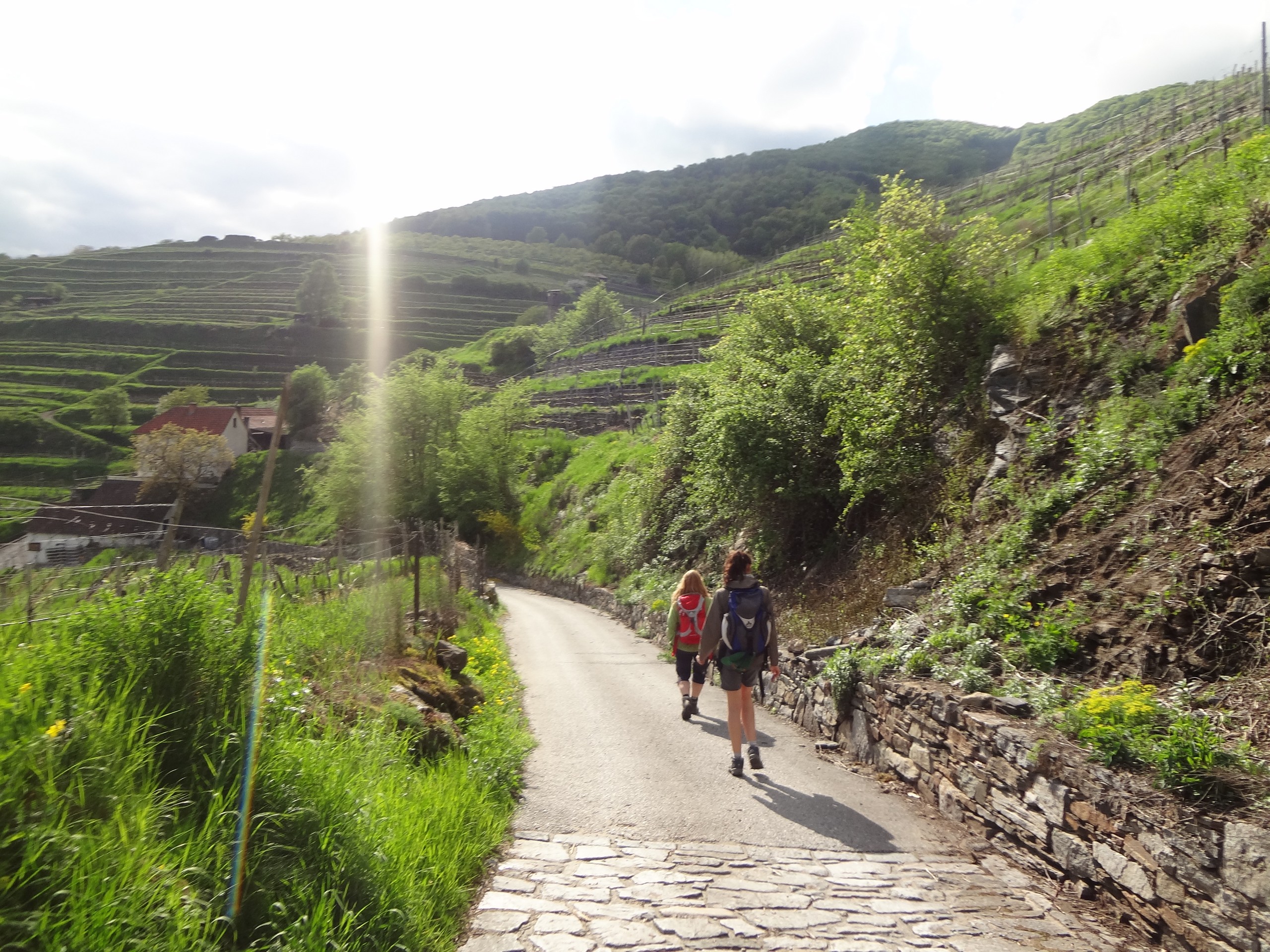 World Heritage Trail Wachau Walking Tour -25