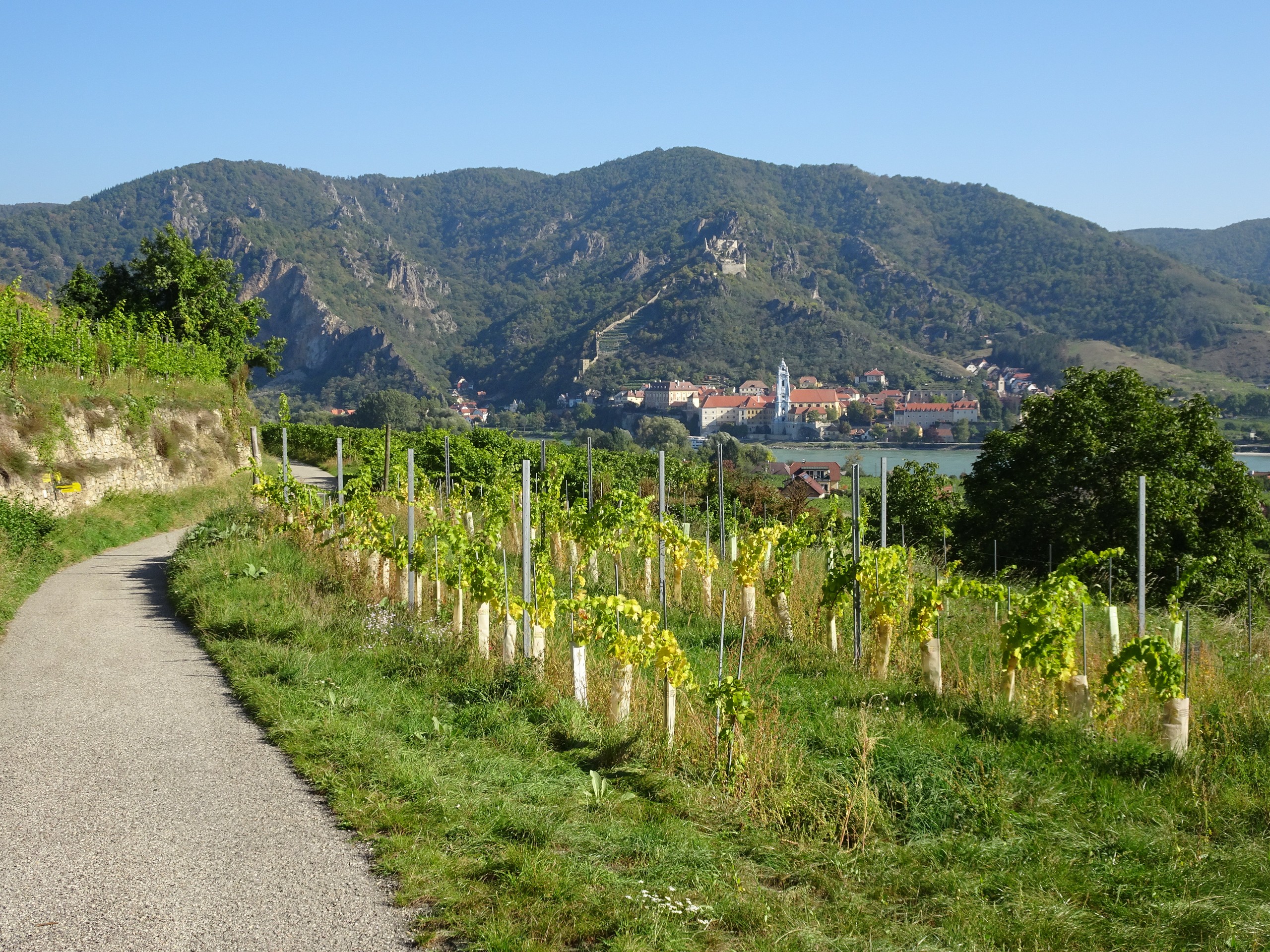 World Heritage Trail Wachau Walking Tour -35