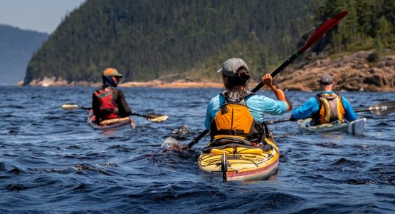 Saguenay Fjord Beginner Sea Kayaking Tour