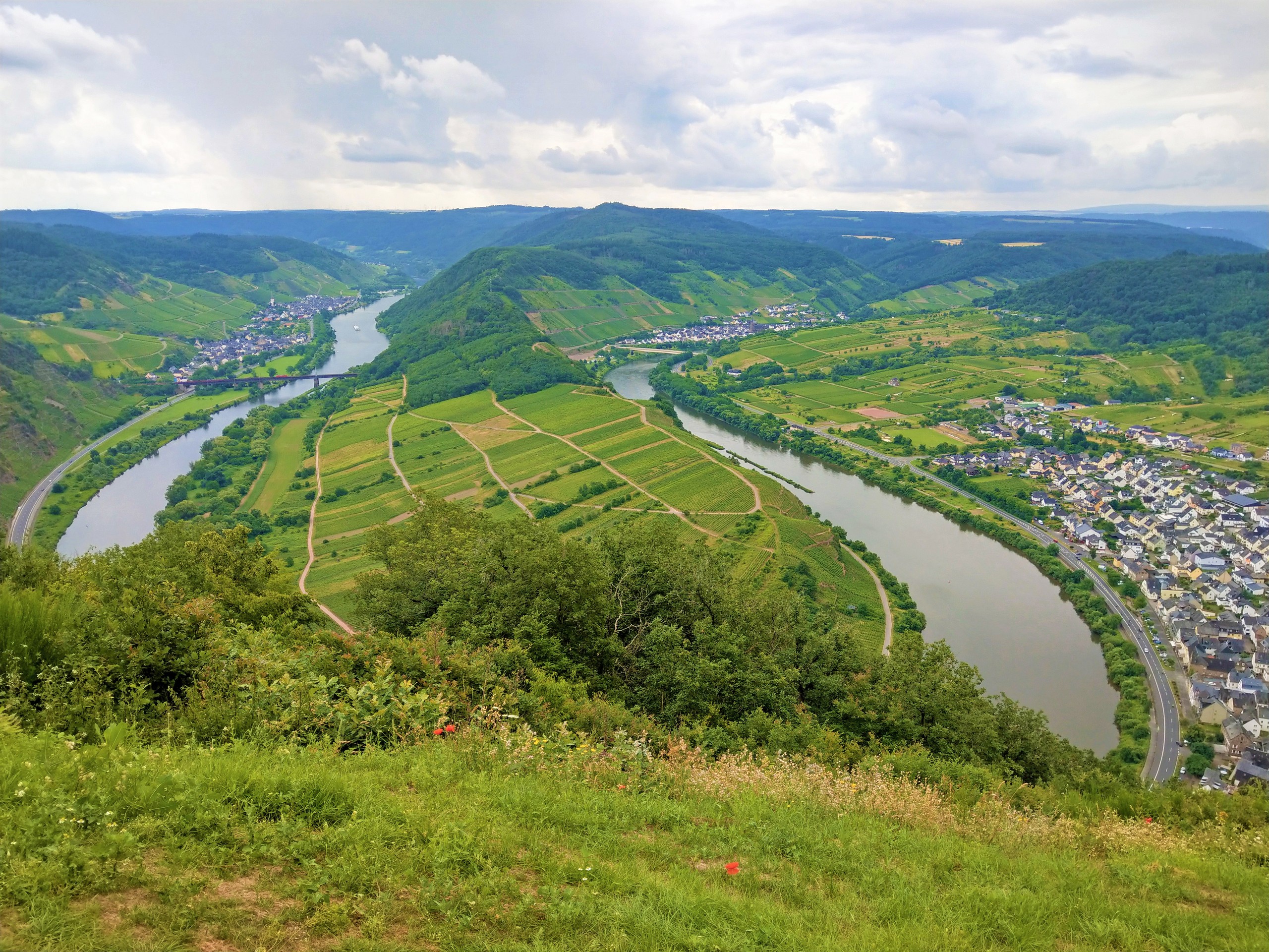Best of Moselteig from Trier to Koblenz walking tour eurohike-wanderreisen-mosel-und-eifelsteig-mos