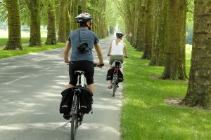 Champagne by Bike