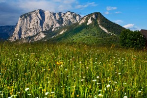 Styrian Salzkammergut Walking Tour