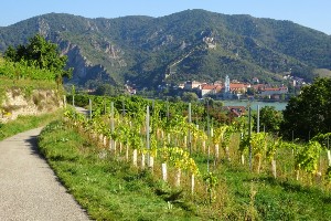 World Heritage Trail Wachau Walking Tour