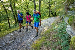 Magical Spessart Walking Tour