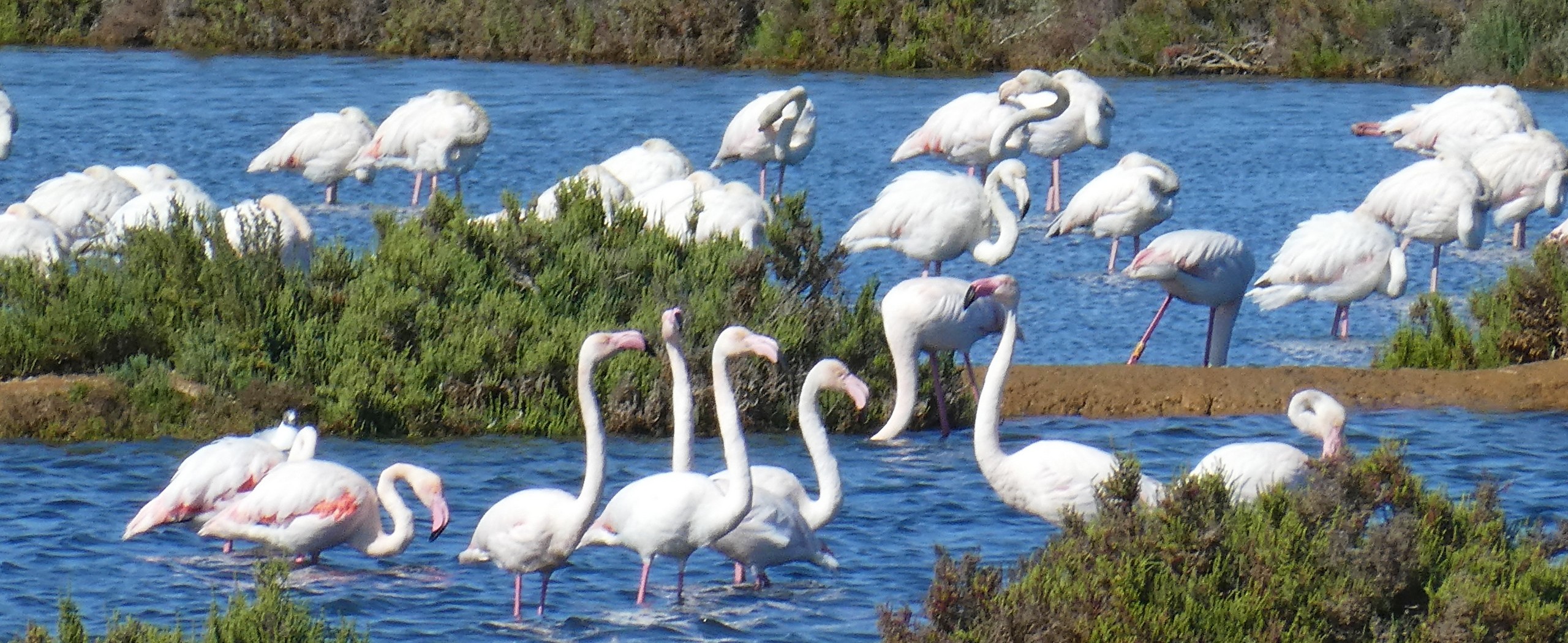 Algarve Coastal Walking Tour