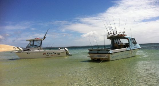 Port Lincoln Fishing Tour