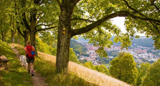 Altmühltal Panorama Trail Tour