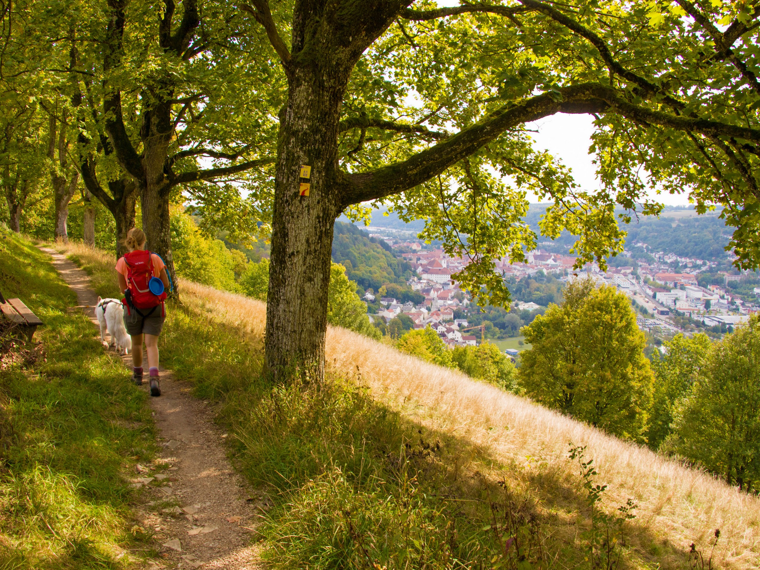 Altmühltal Panorama Trail Tour - Lady walking with a dog on a Panorama trail in Bavaria