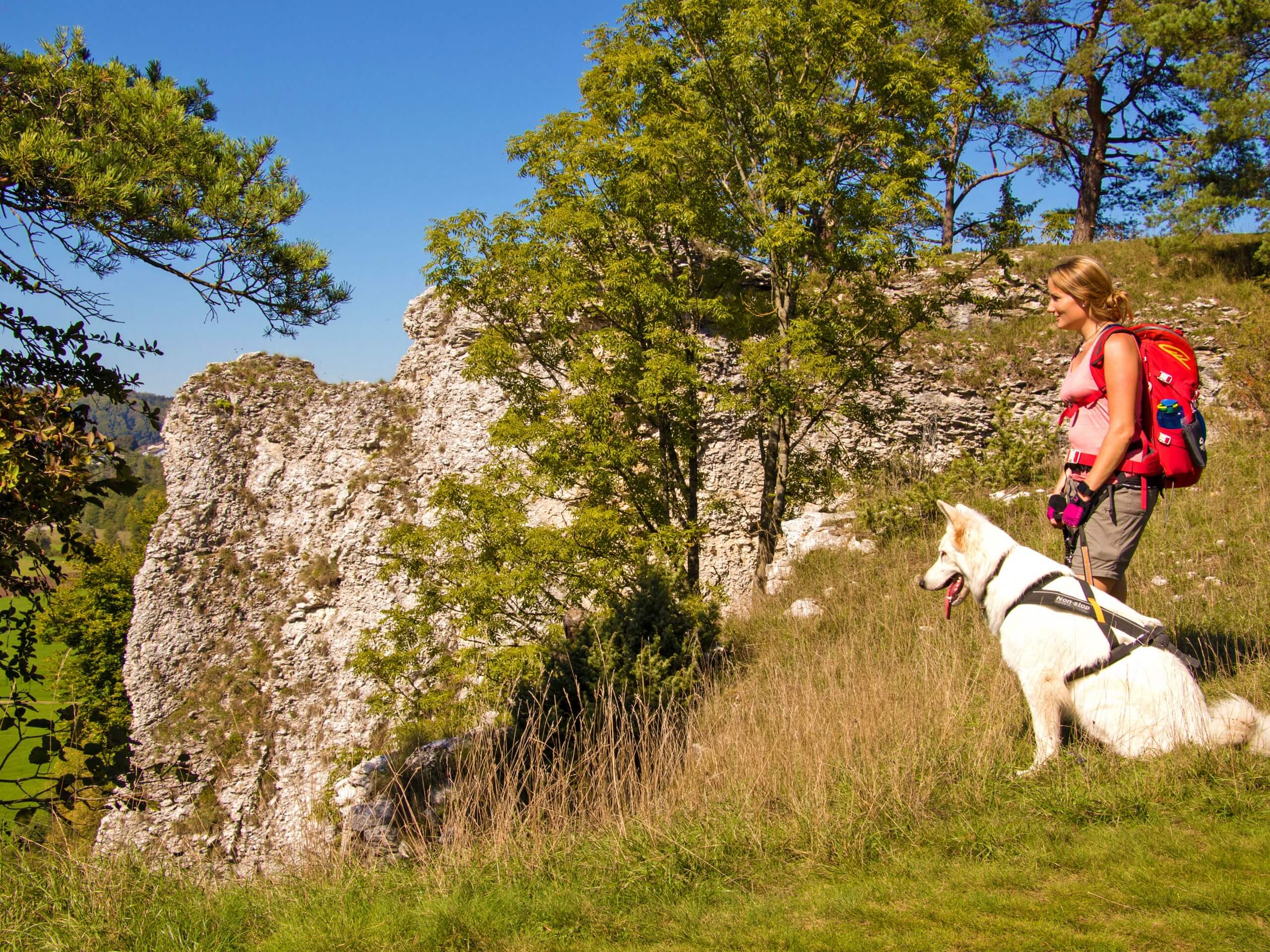 Altmühltal Panorama Trail Tour - Walker with a dog resting on a self-guided walking tour in Bavaria