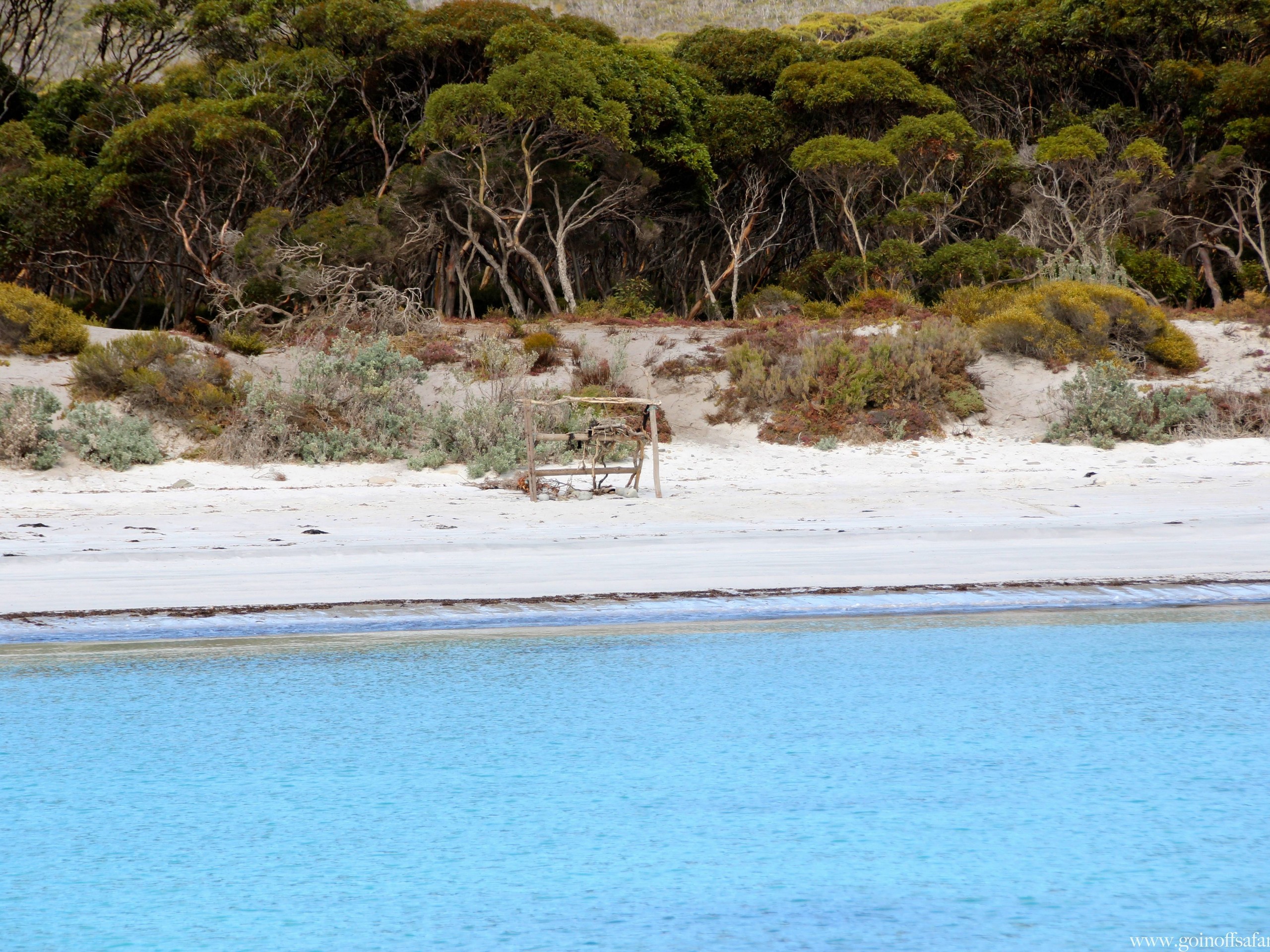 Coastal views from the boat on a guided sea lion tour