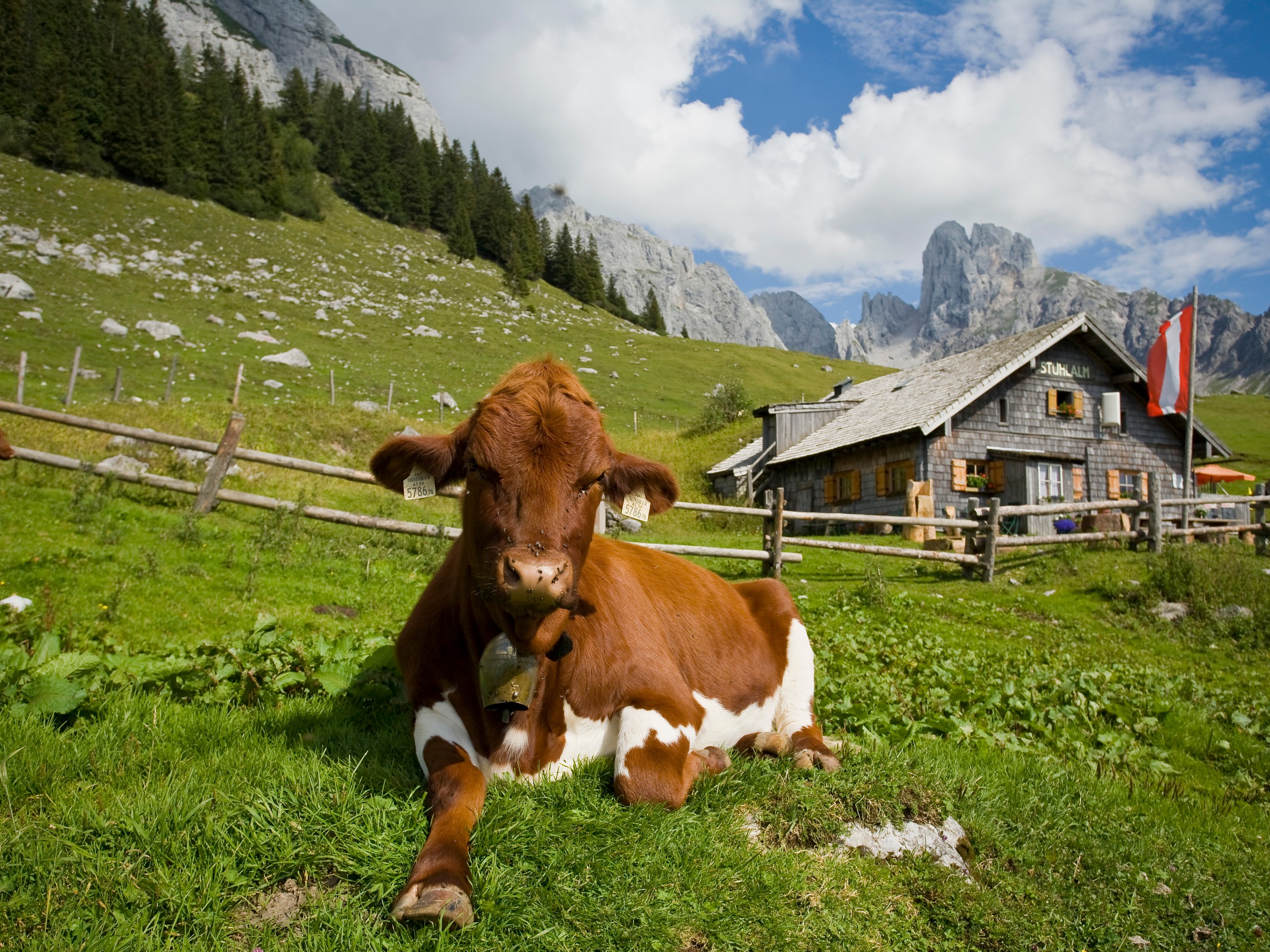 Dachstein High Altitude Circular Path -16