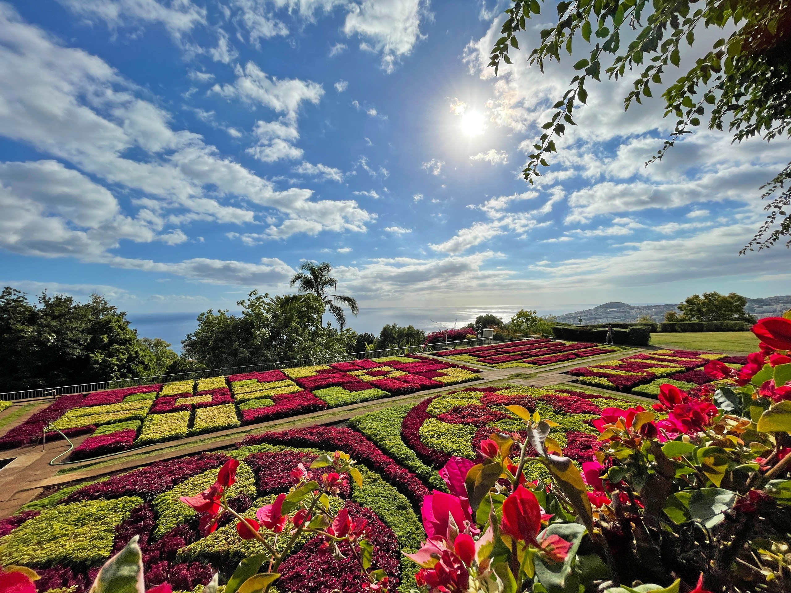 Beautiful gardens in Funchal, Madeira