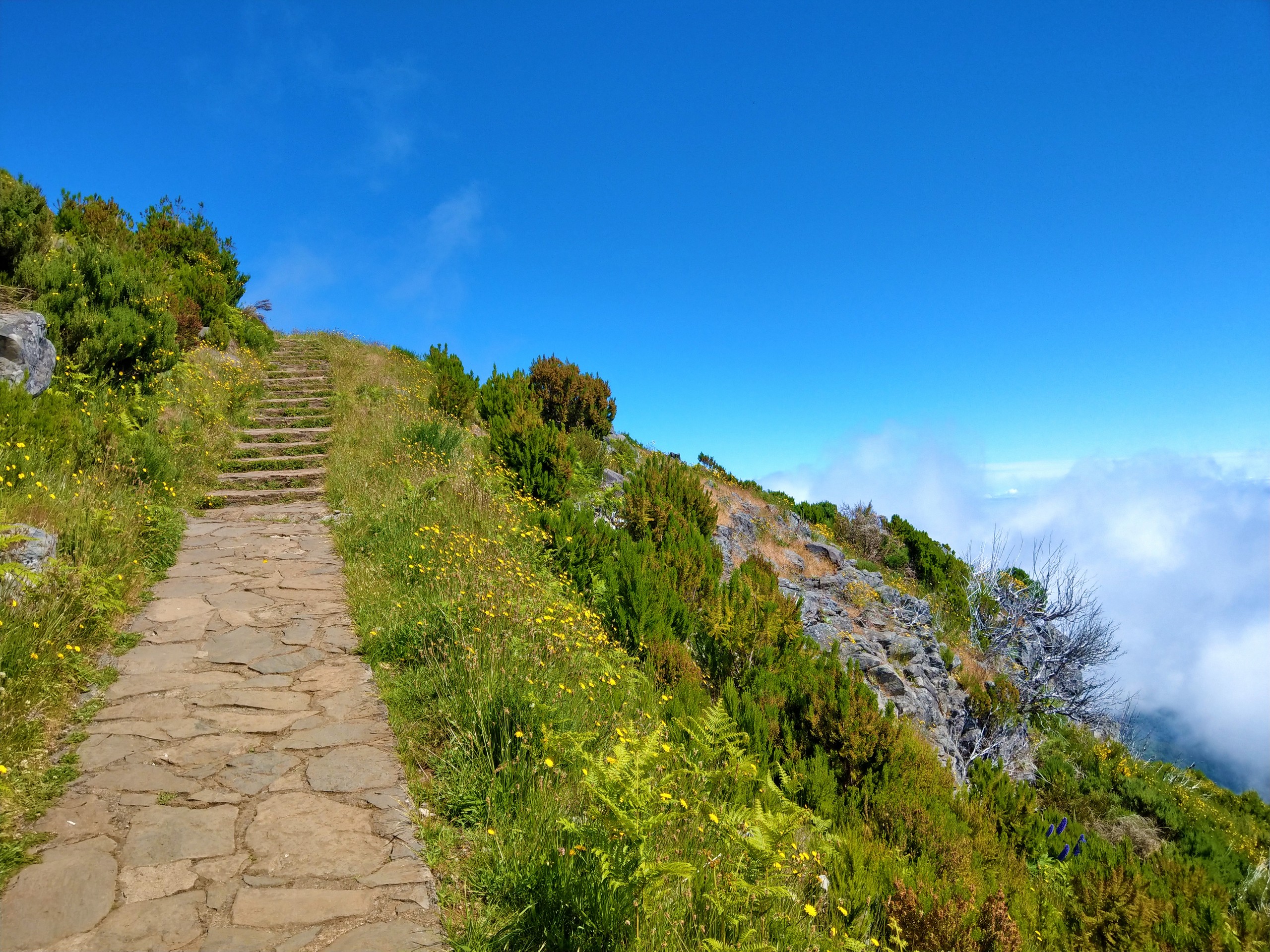Walking the high route of Madeira