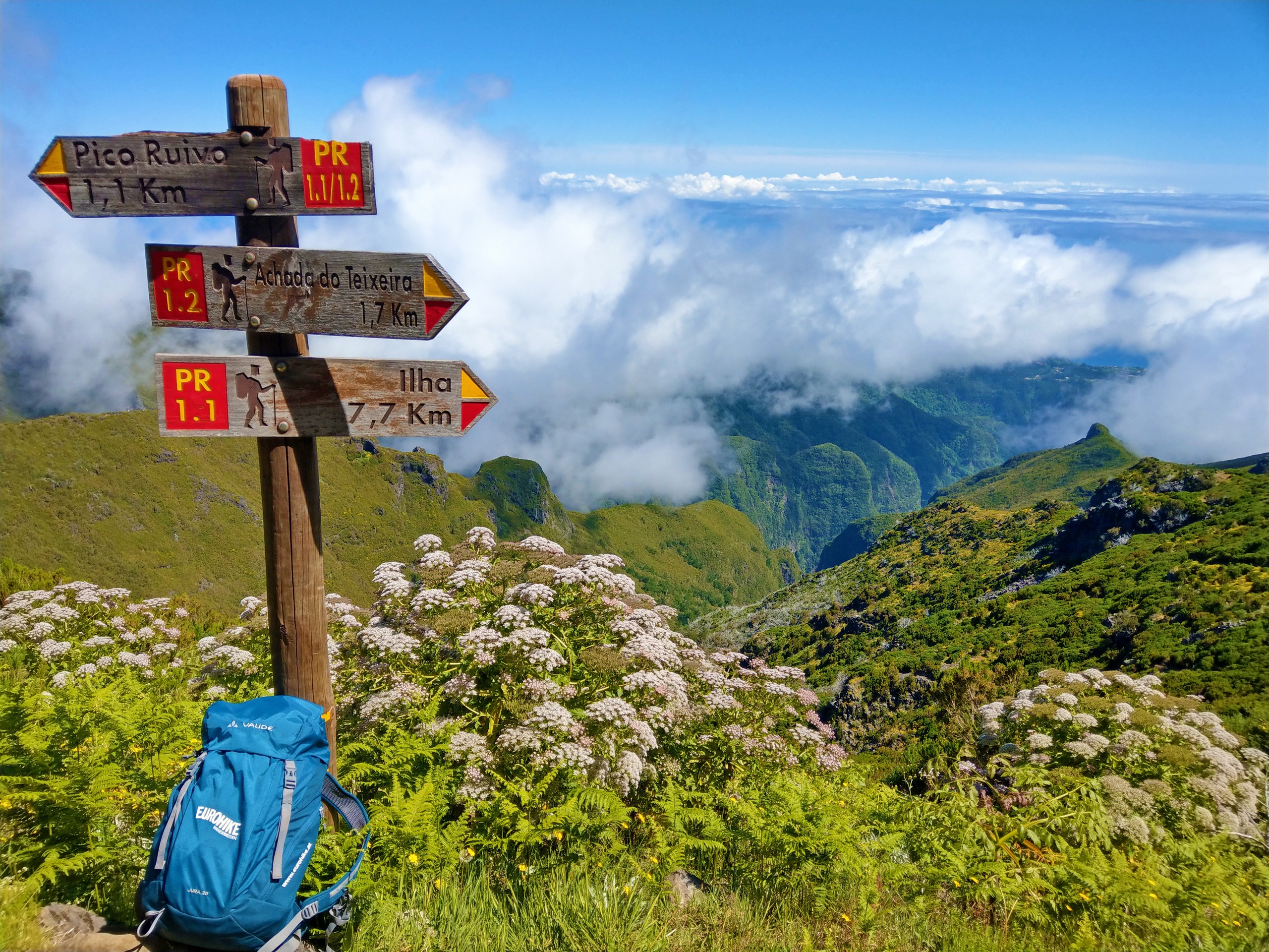 Waypoint in Madeira