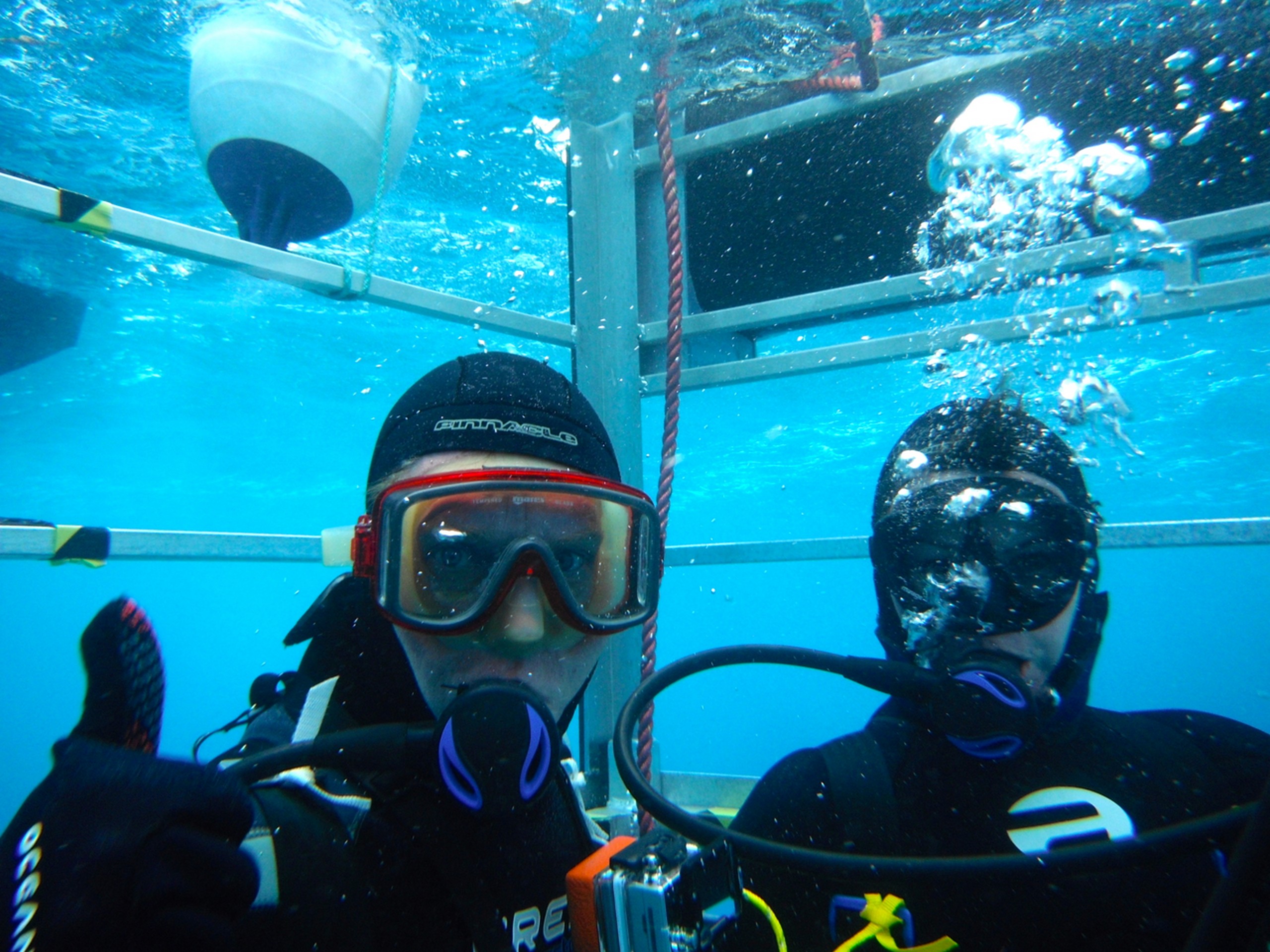 Two divers posing while on a cage tour with great white sharks