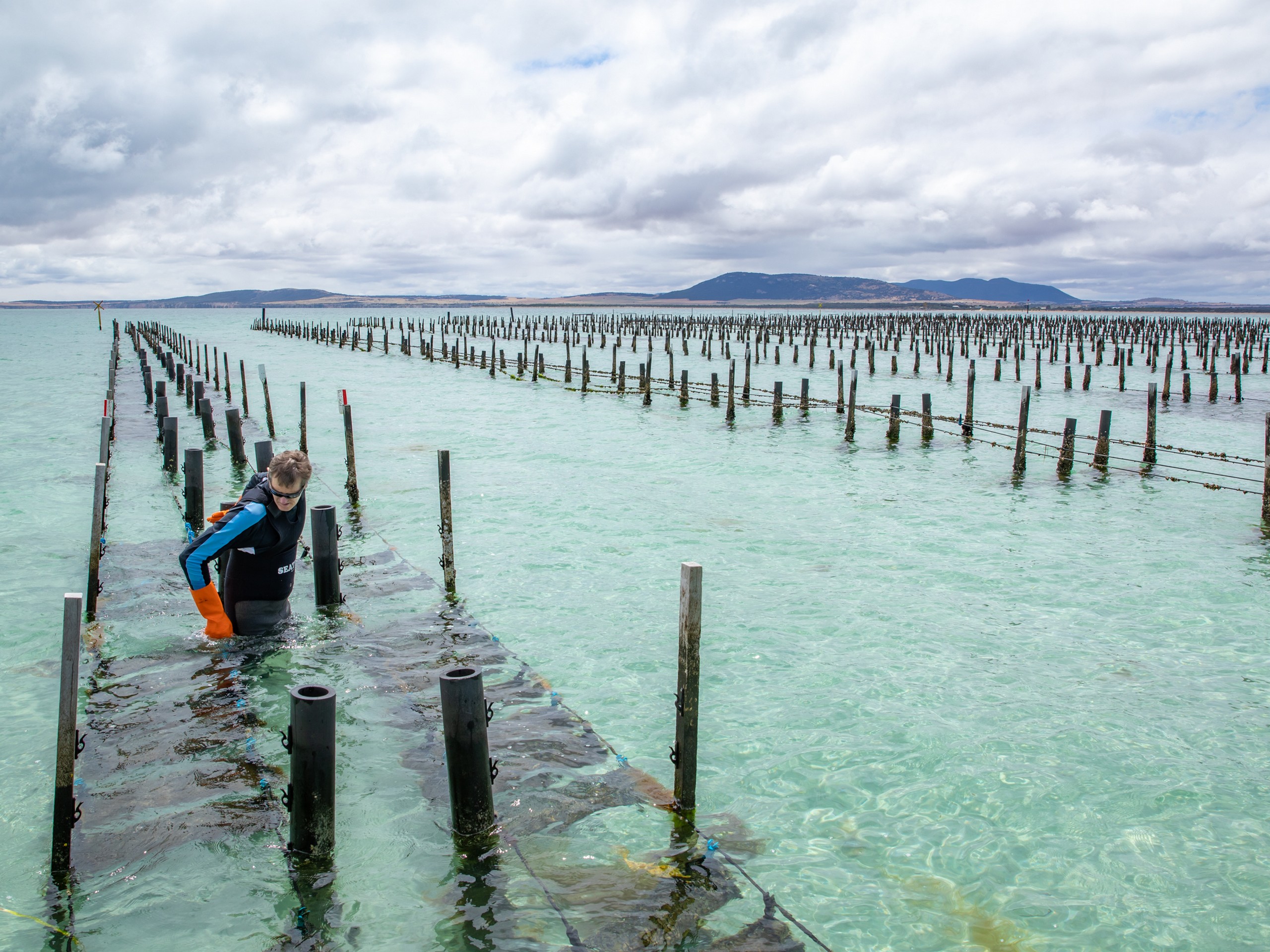 Visiting the Oyster Farm while in Coffin Bay