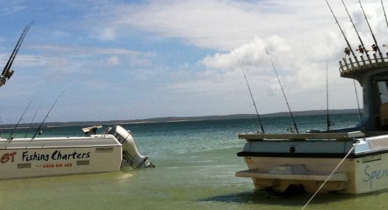 Port Lincoln Fishing Tour