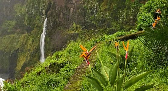 Madeira Circular Hiking Tour